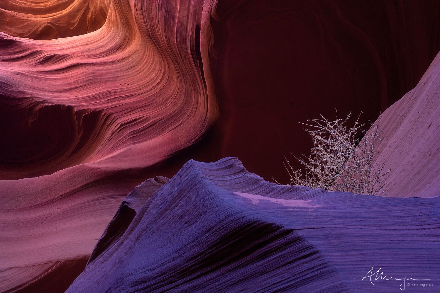 1500x1000 Tumbleweed Moments. Antelope Canyon, Arizona. Anna Morgan Photography