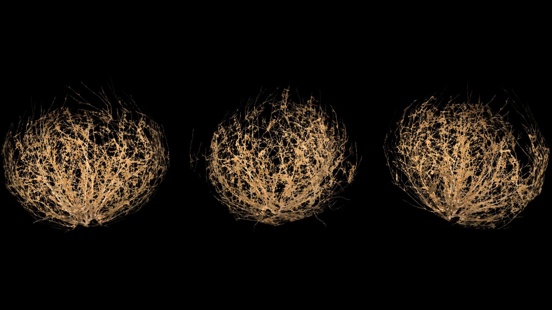1920x1080 Tumbleweed low poly