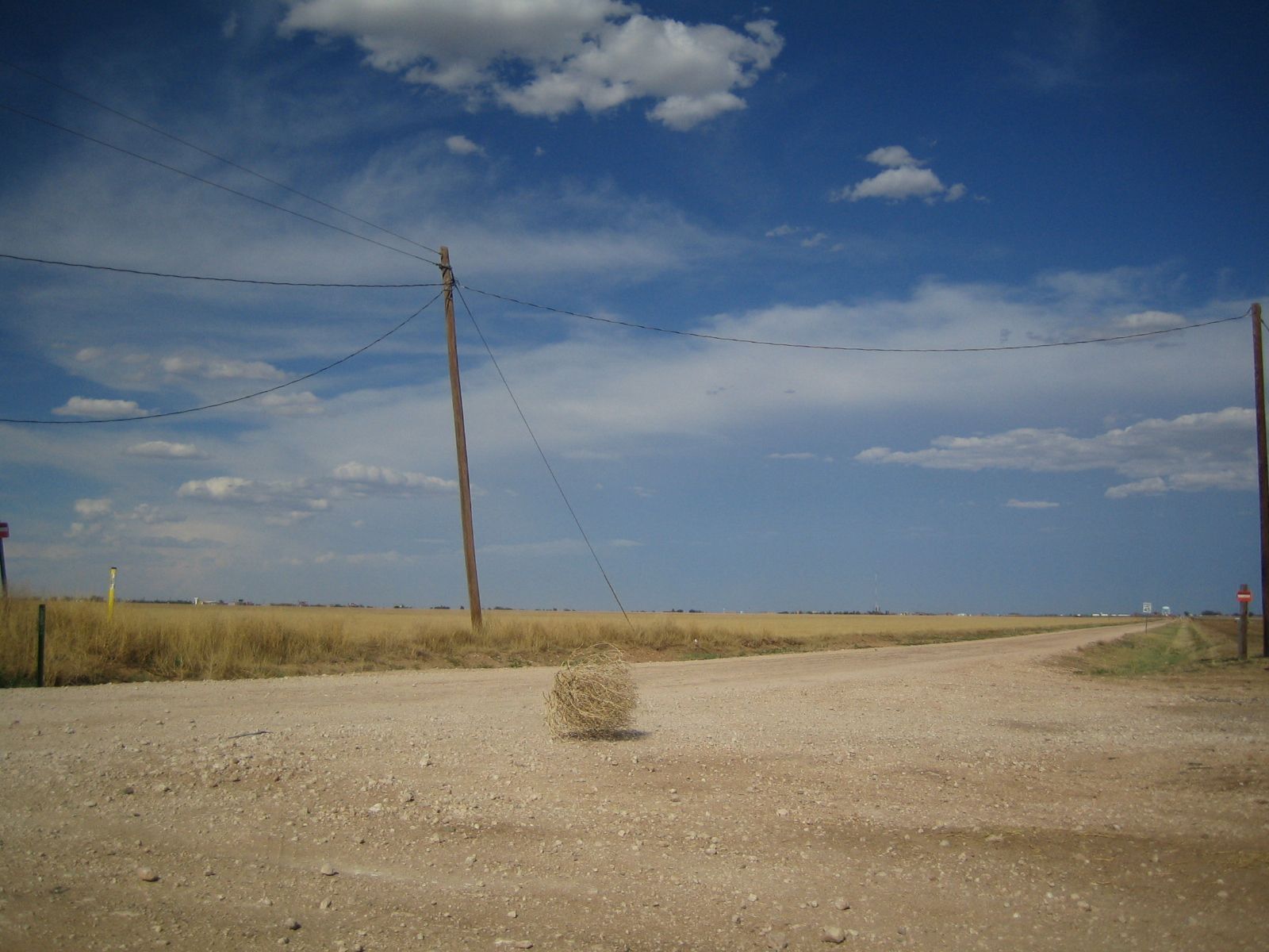 1600x1200 Tumbleweed