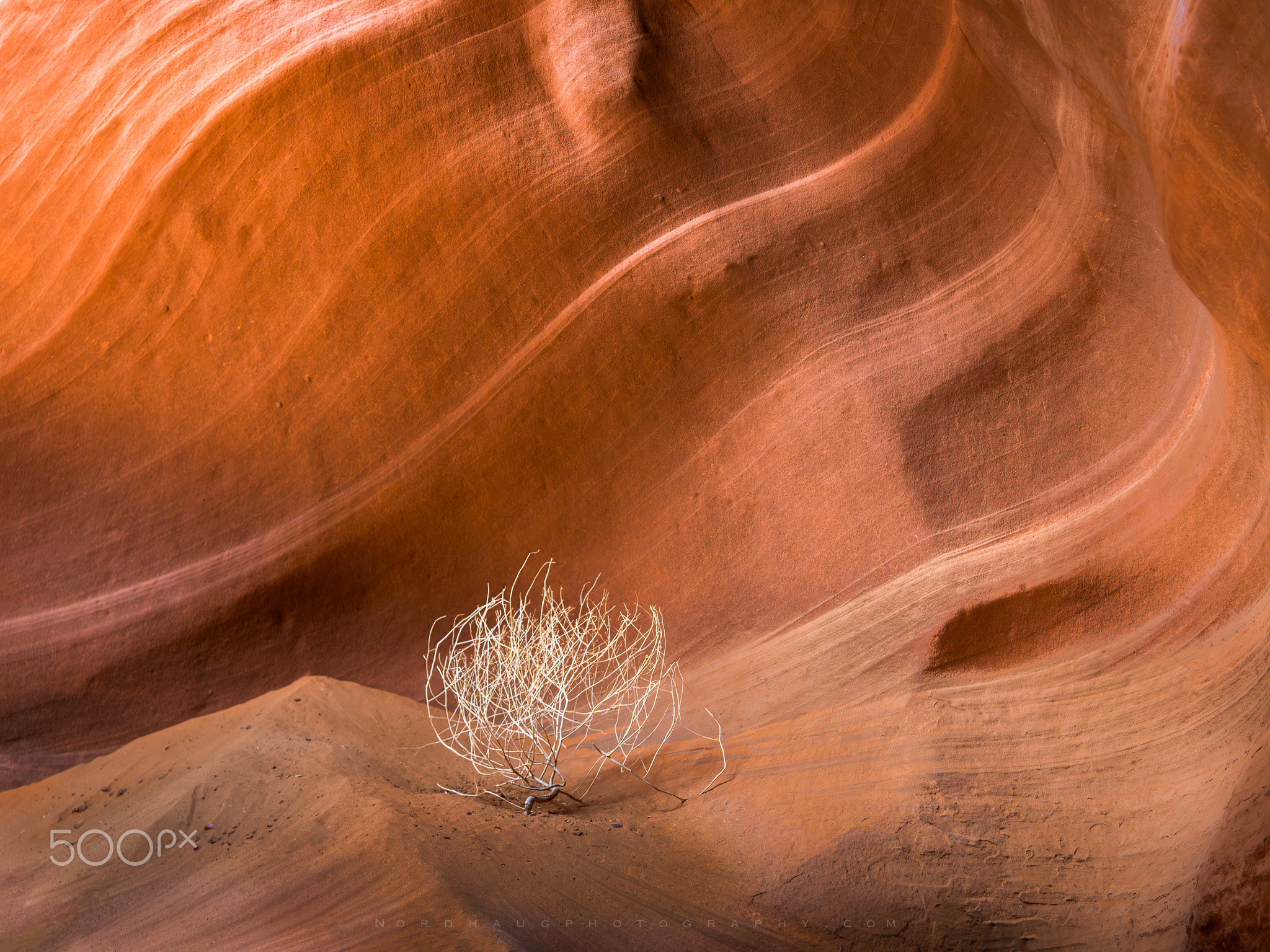 2048x1536 Lone Tumbleweed in Antelope Canyon Evoking Isolation. landscape photo by Dag Ole Nordhaugpx