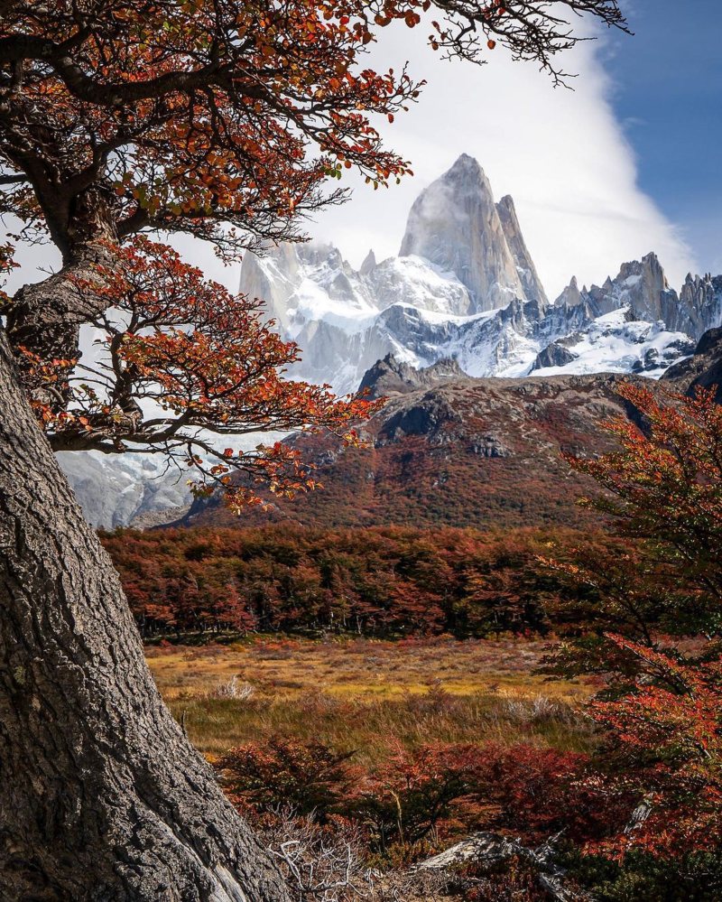 800x999 Awesome Hikes to Embark On From El Chalten