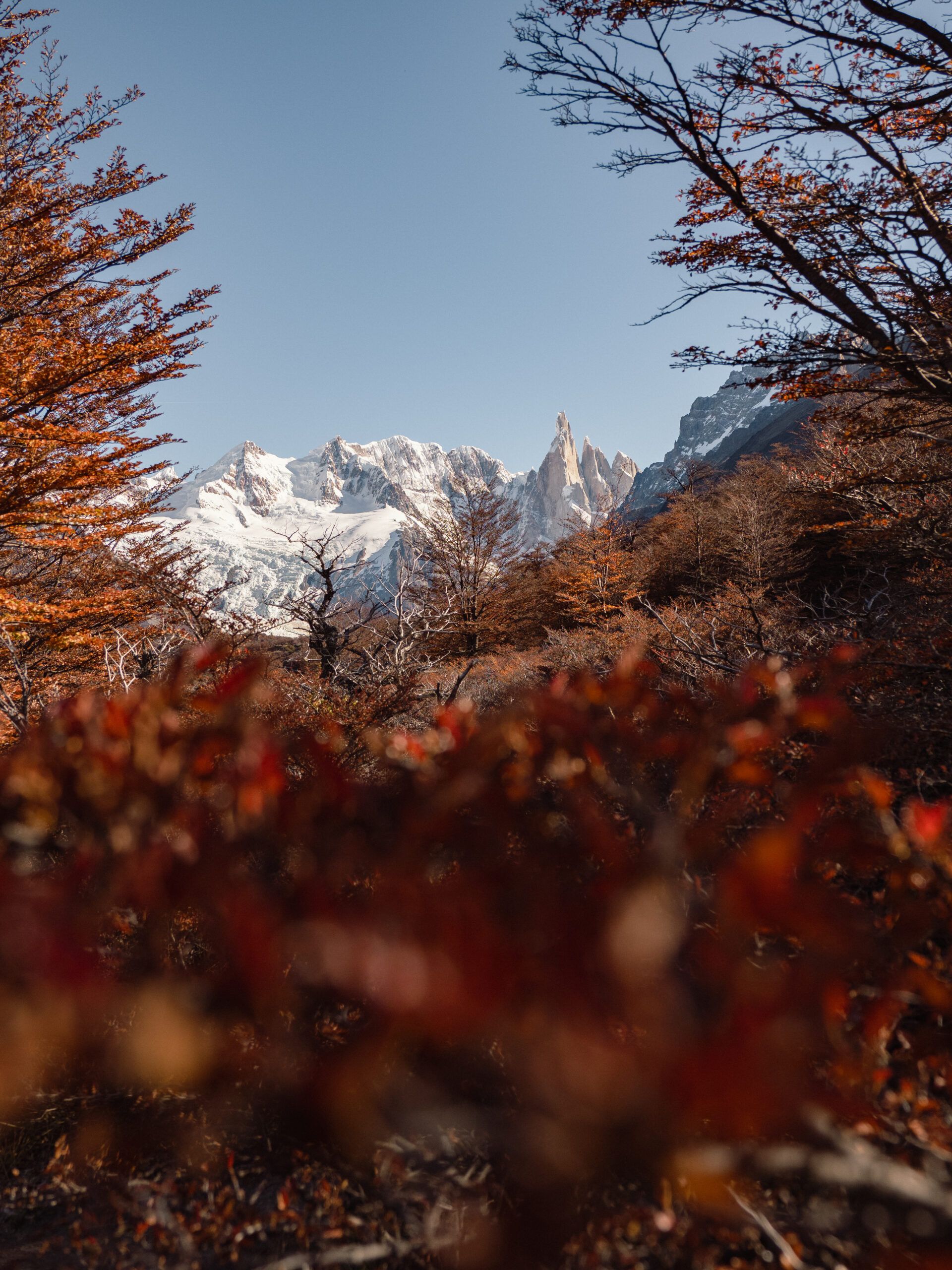 1920x2560 Is this the Best Hike in Patagonia? Hiking in El Chalten, Argentina