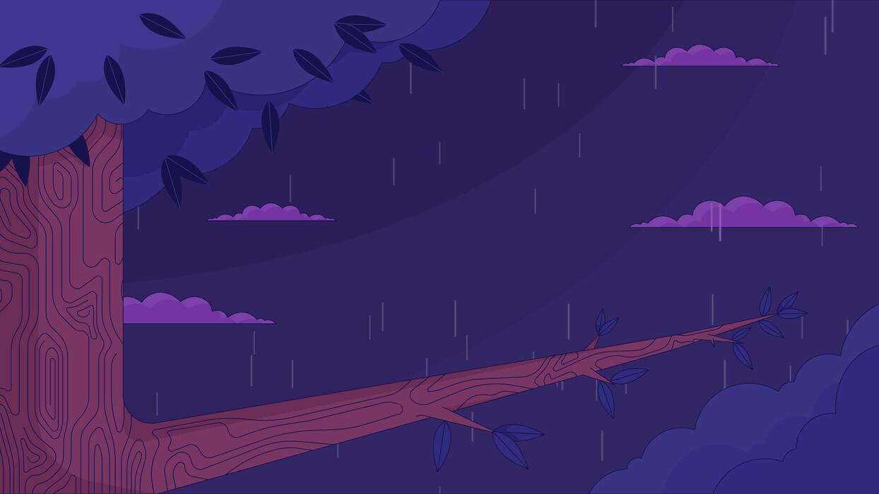1244x700 Oak tree branch on rain forest night cartoon animation. Autumn nighttime rainy weather 4K video motion graphic. Woodland rainfall 2D animated background full frame, after hours lofi live wallpaper