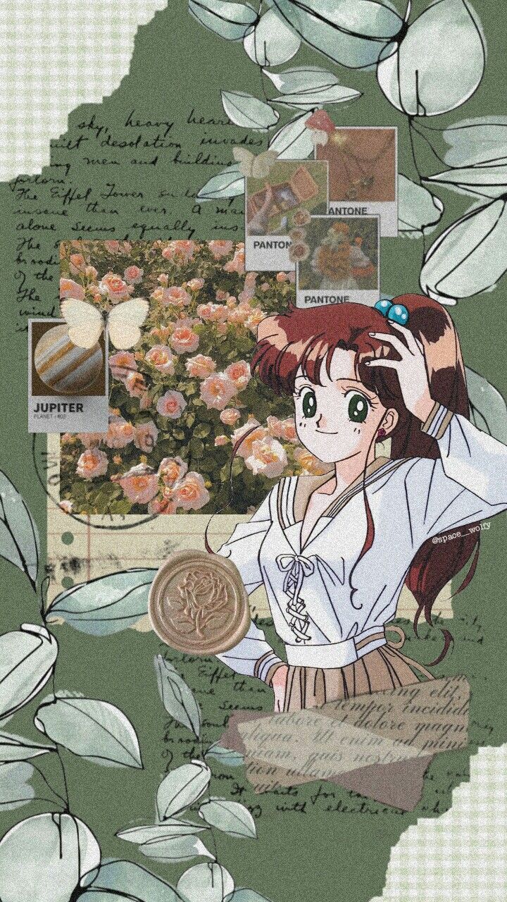 720x1280 Sailor Jupiter Makoto Kino Wallpaper (Anime: Sailor Moon)