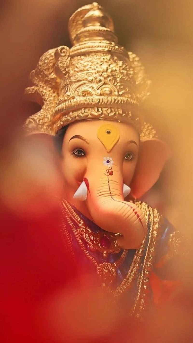 800x1422 HD cute ganesha wallpaper