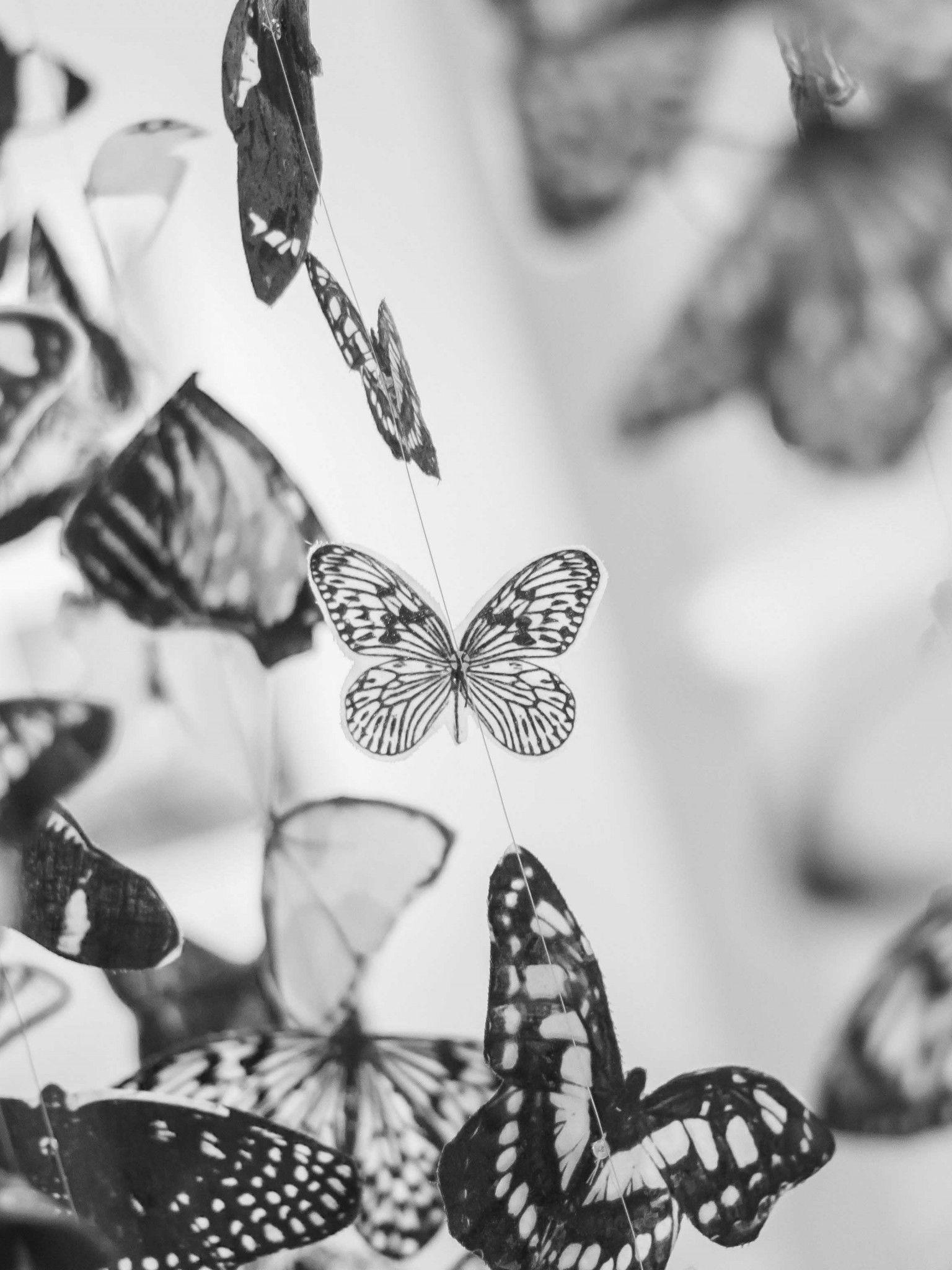 Black and White iPad Wallpapers Top Free Black and White iPad