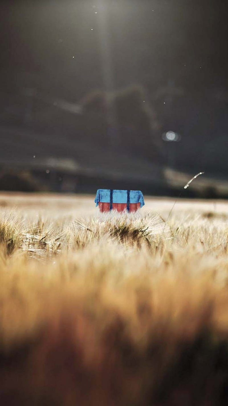 800x1422 PUBG, pubg game, android, iphone, pubg, games, HD phone wallpaper