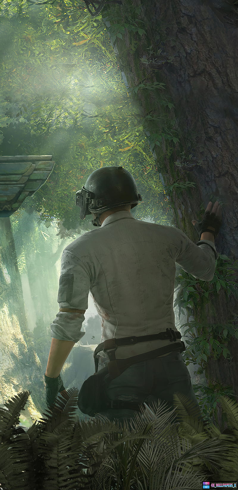 800x1644 HD pubg green wallpaper