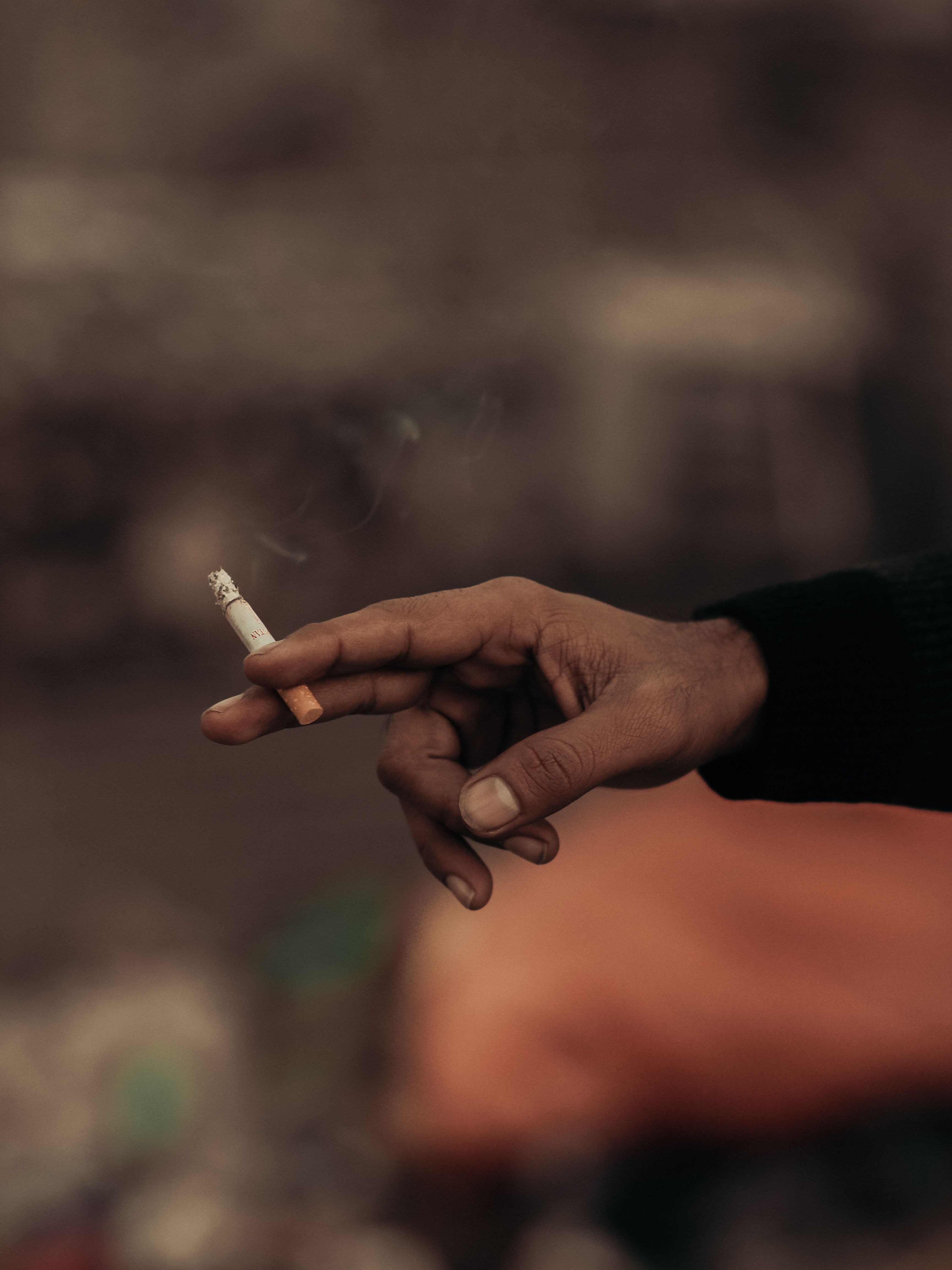 3456x4608 Tobacco Photo, Download The BEST Free Tobacco & HD Image