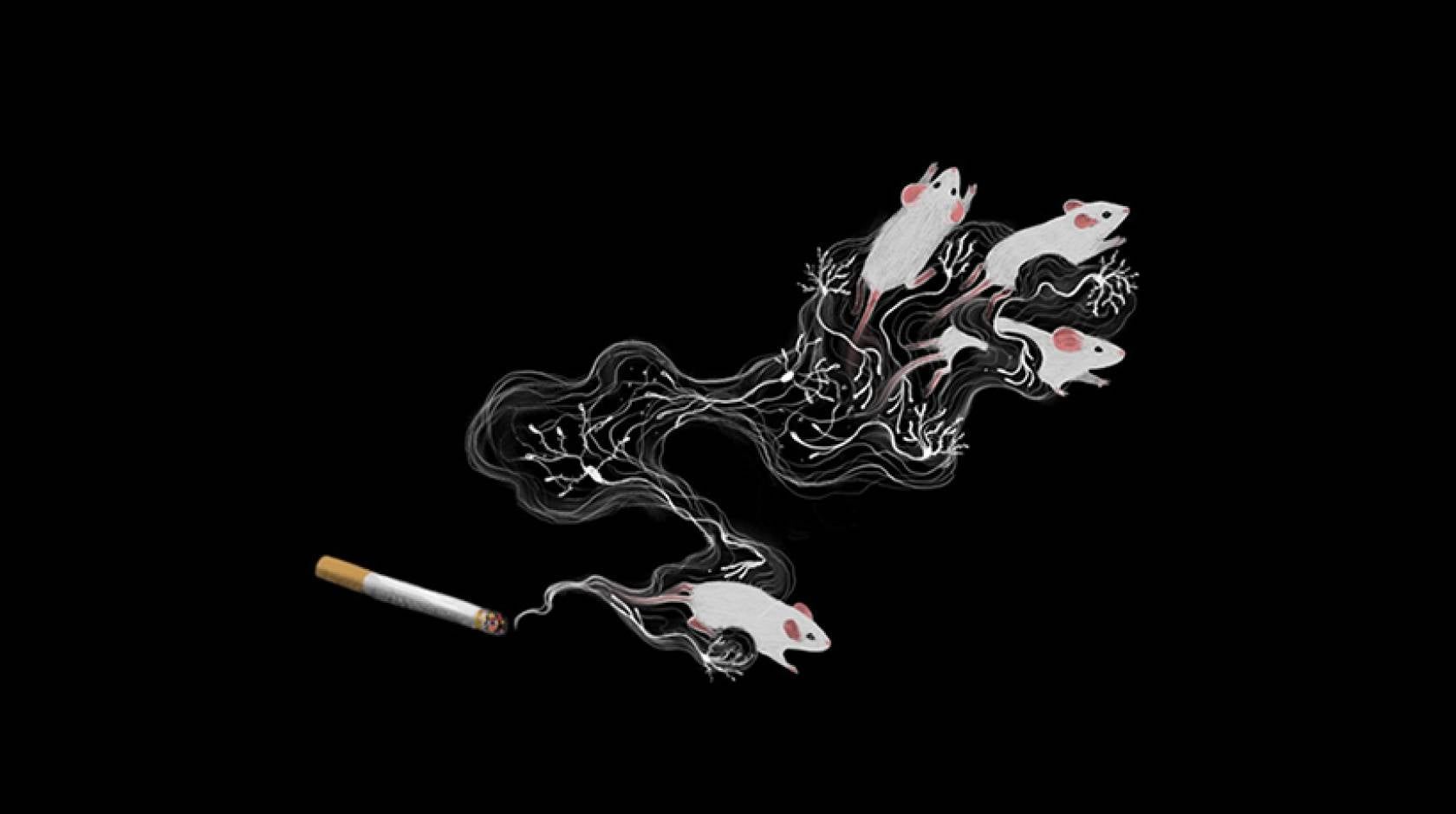 1680x940 Secret Behind 'nic Sickness' Could Help Break Tobacco Addiction. University Of California