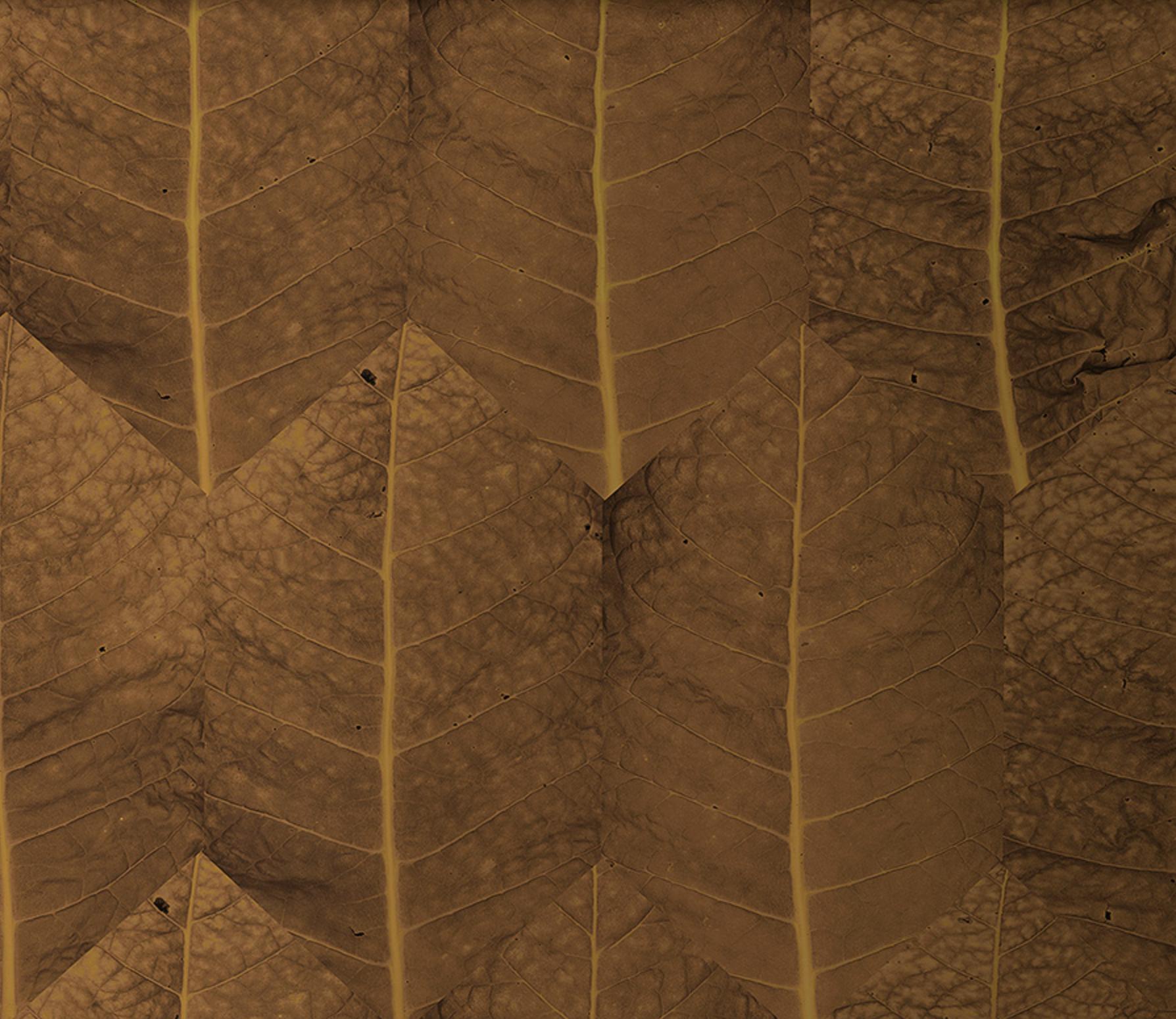 1788x1550 Tobacco Wallcovering