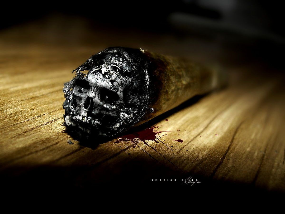 1200x900 Tobacco wallpaper HD. Download Free background
