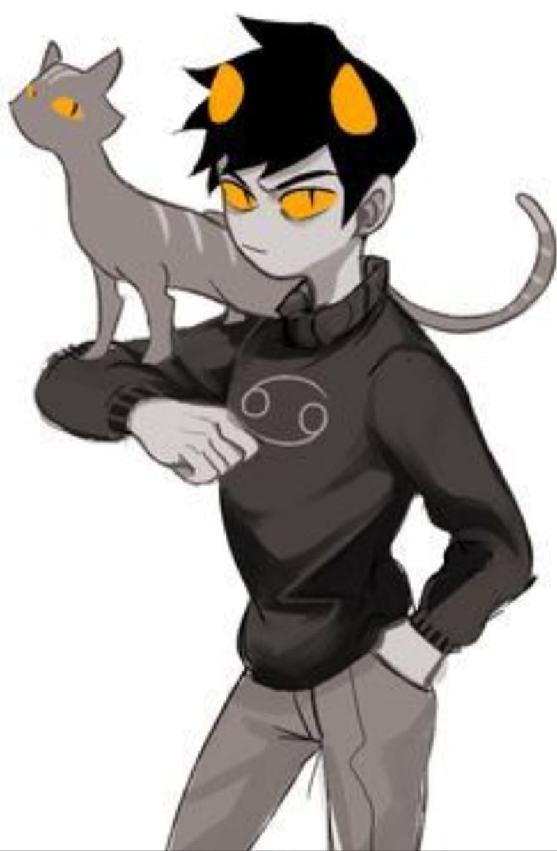 800x1223 HD homestuck wallpaper