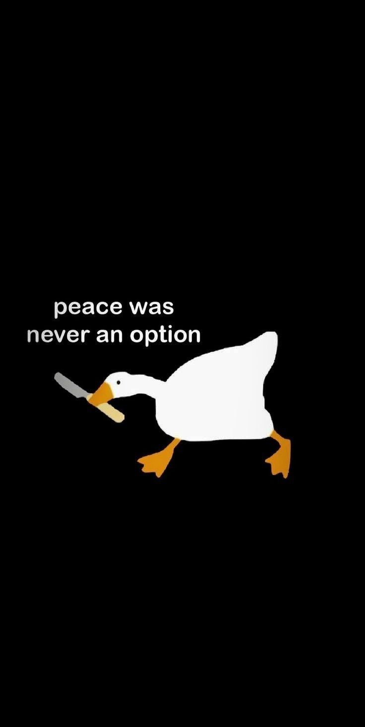 736x1466 Peace Was Never an Option