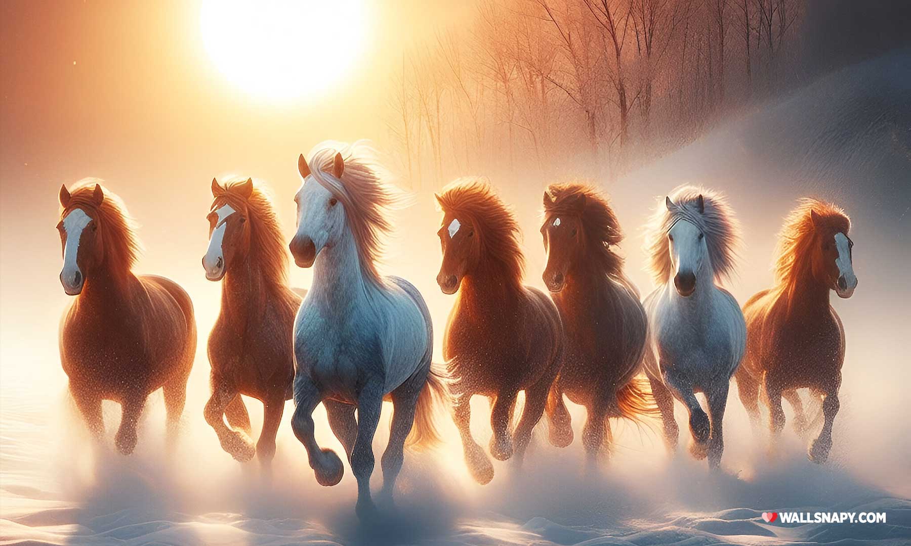 1800x1080 horse sunrise wallpaper HD full screen 1800 free