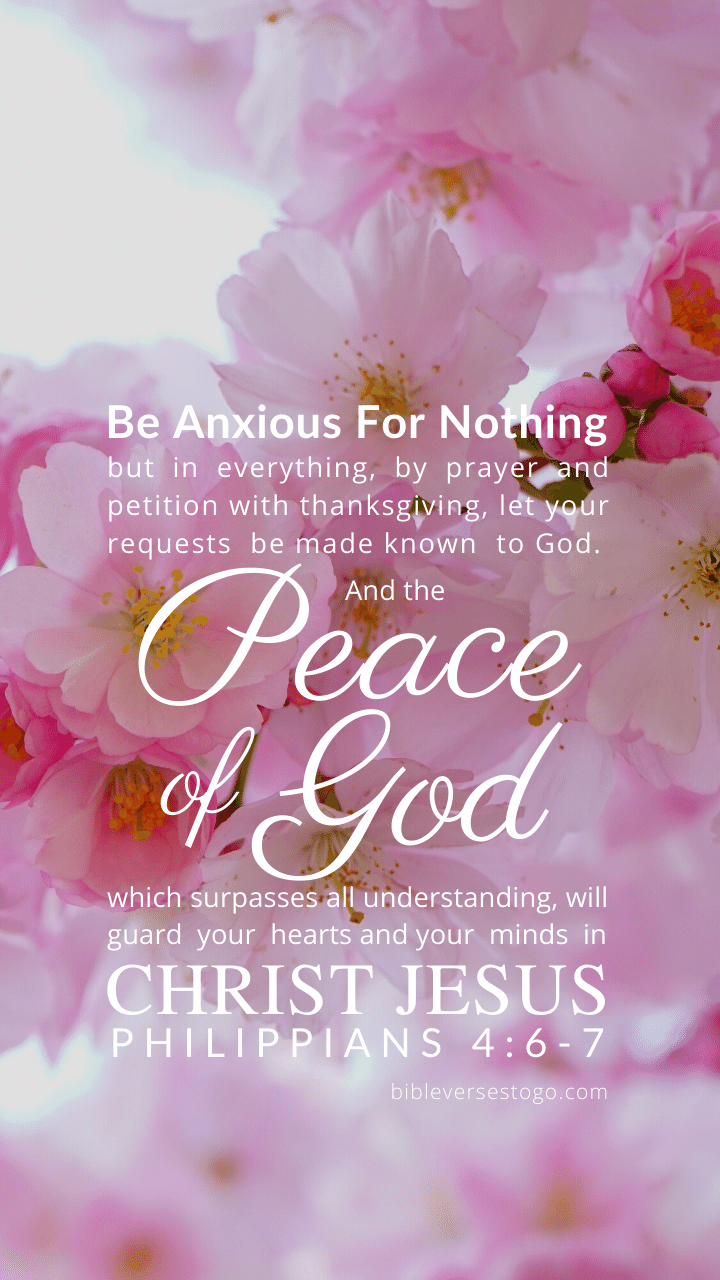 720x1280 Pink Bloom Phil 4:6 7