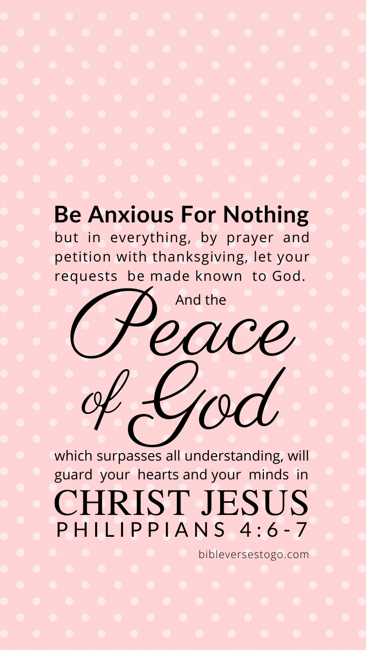 720x1280 Pink Phil 4:6 7