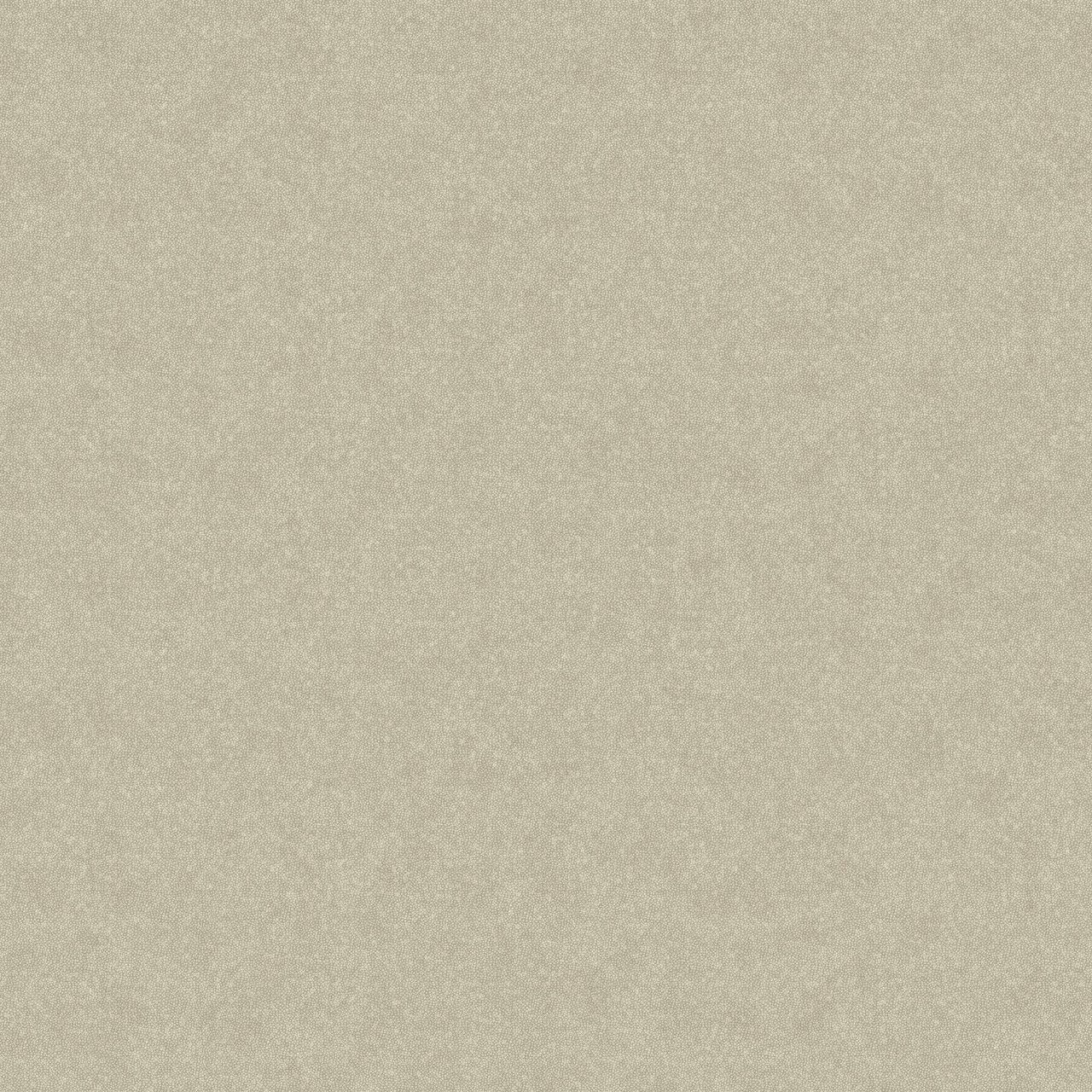 1280x1280 Brilliance Tahiti Shagreen Ash Wallpaper BRL980921