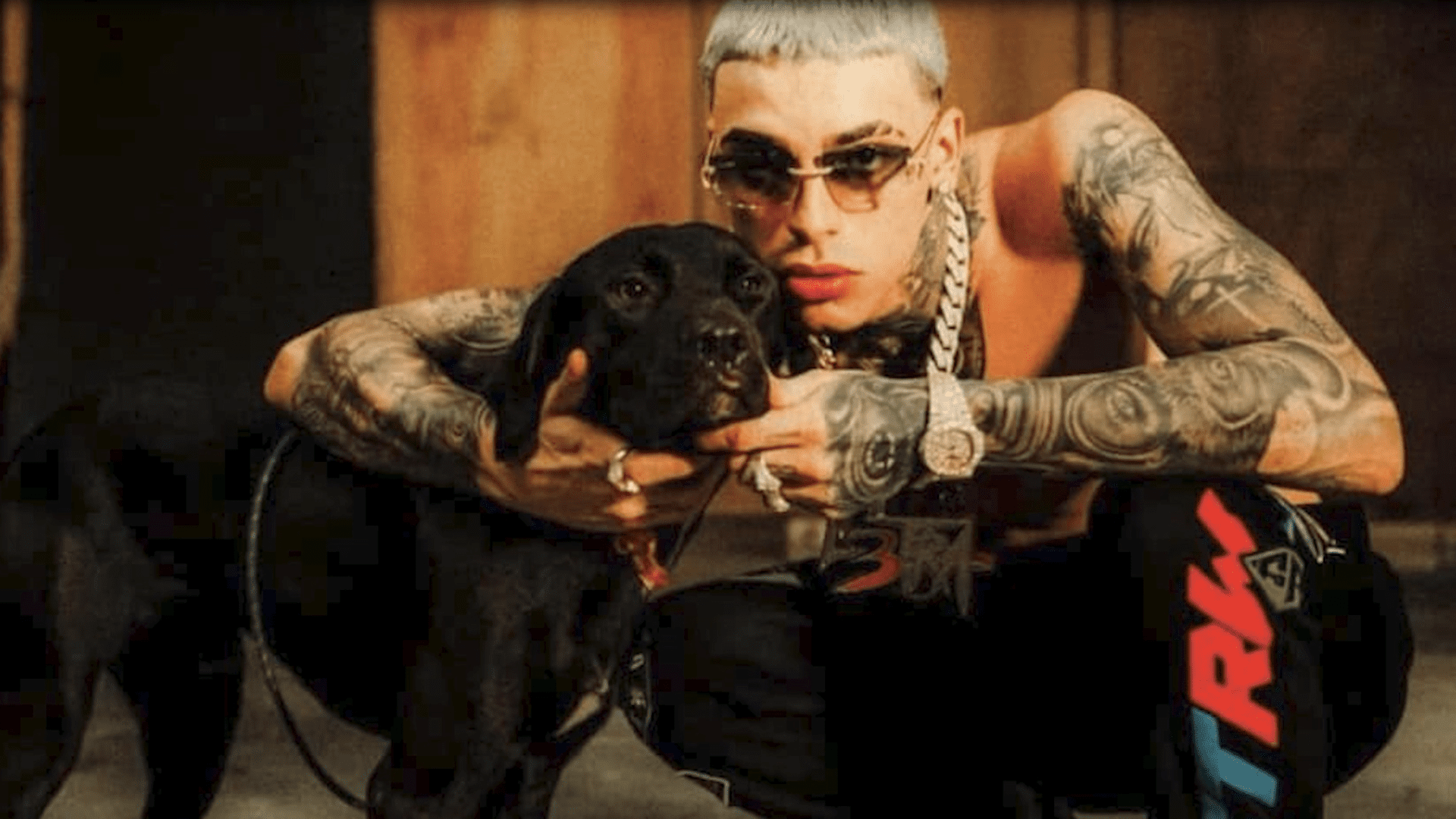1920x1080 Luar La L confirma la muerte de su mascota Jhonny TV. Vívelo