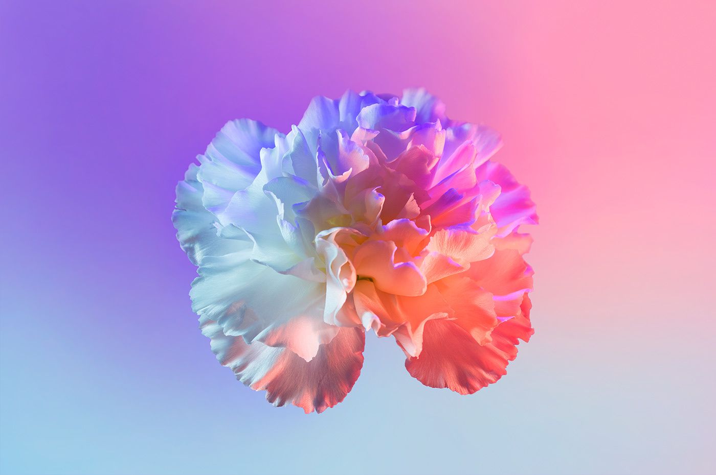 1400x930 Photography (3). Image - Behance