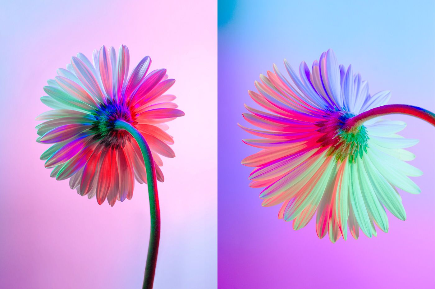1400x930 Photography (5). Image - Behance