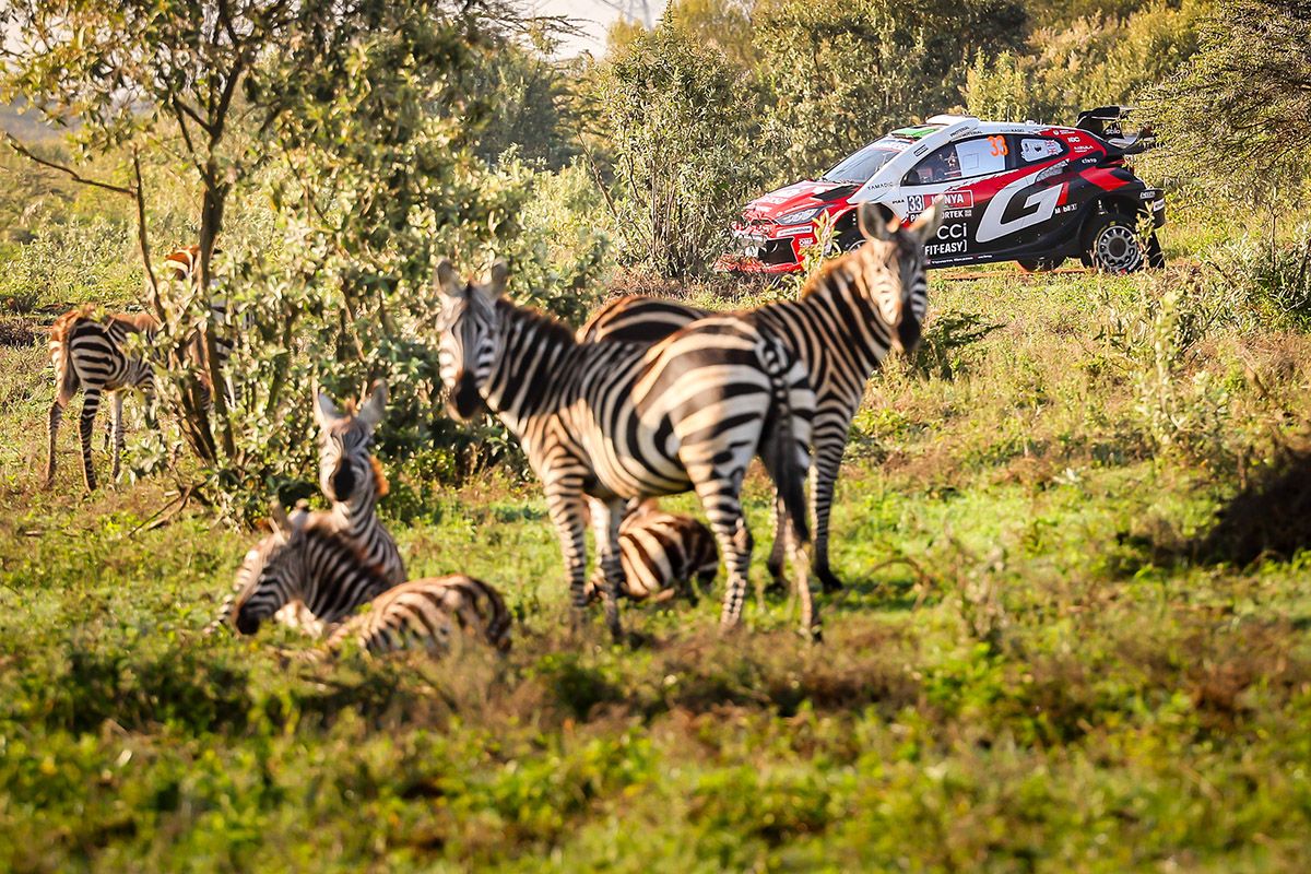 1200x800 GALLERY. SAFARI RALLY KENYA. REPORT