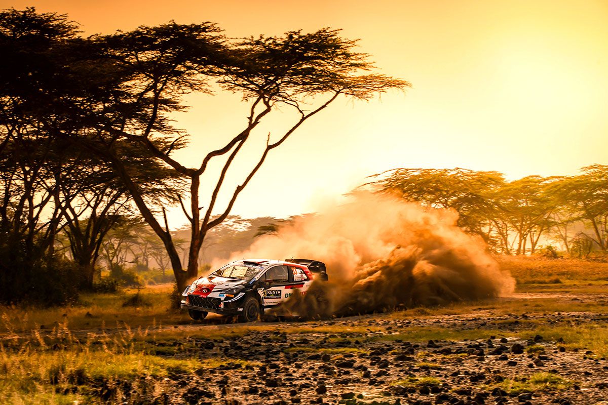 1200x800 Safari Rally Wallpaper