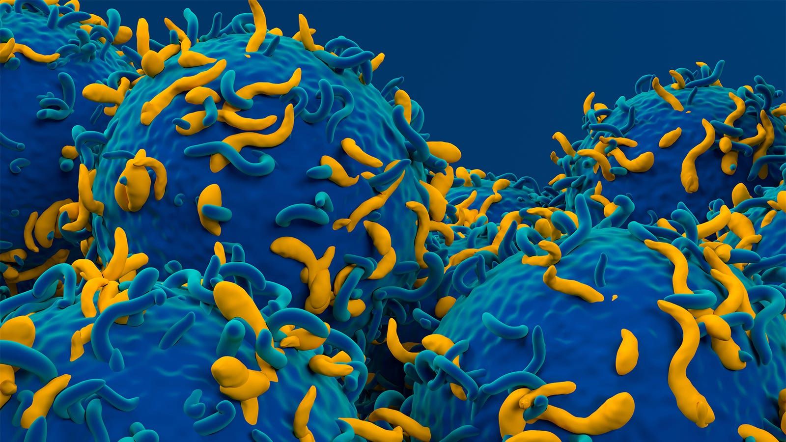 1600x900 Autoimmune Anemia Is The Latest Condition Found Responsive To CAR T Therapy