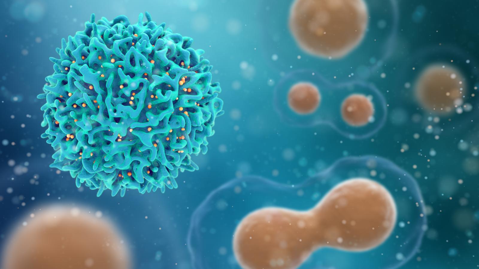1600x900 Protection Against Covid 19 Reinfection Could Last At Least 10 Months