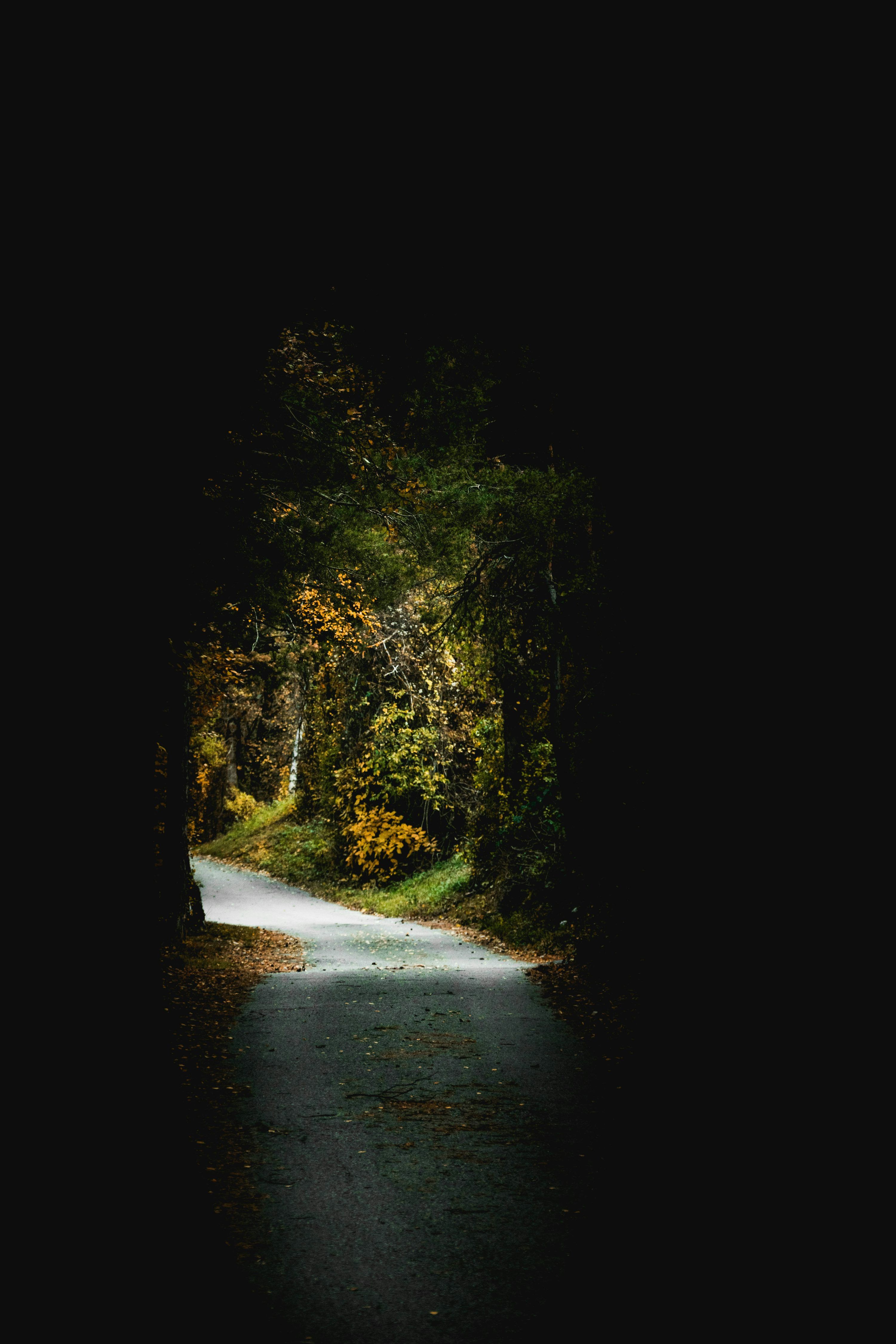 3000x4500 Amoled. best free photo