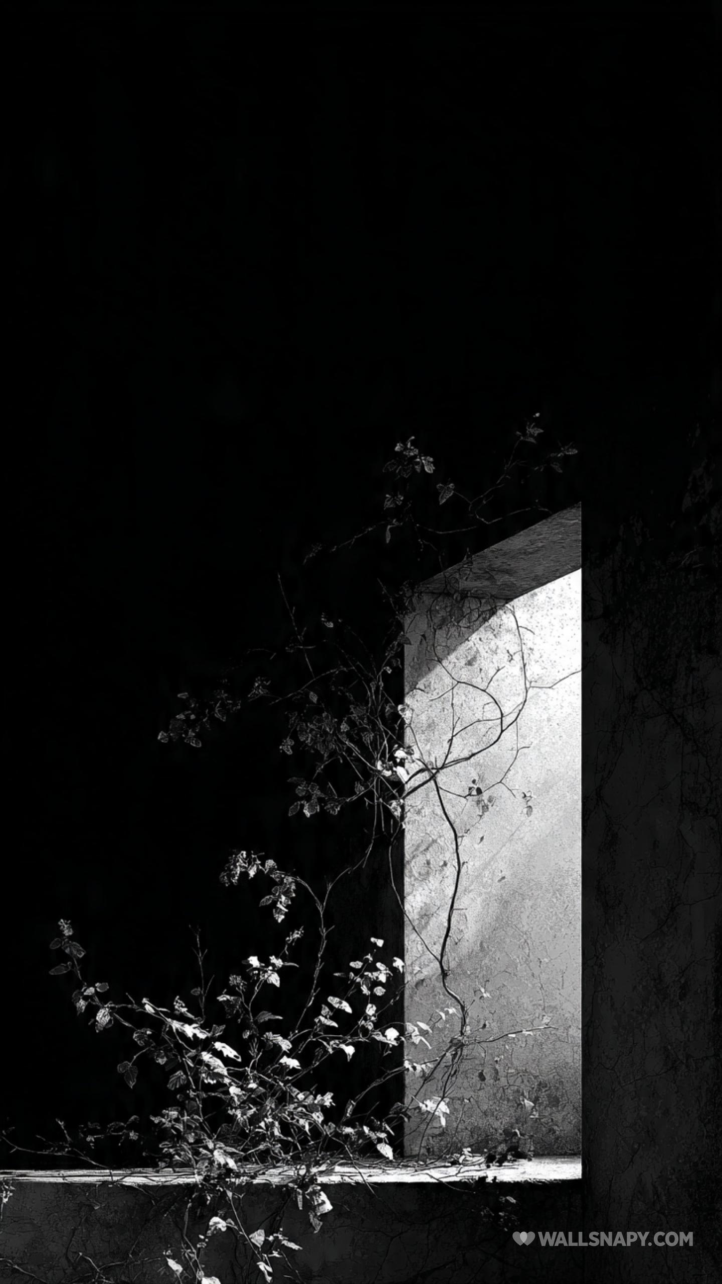 1440x2560 Amoled aesthetic nature night mobile 4k wallpaper