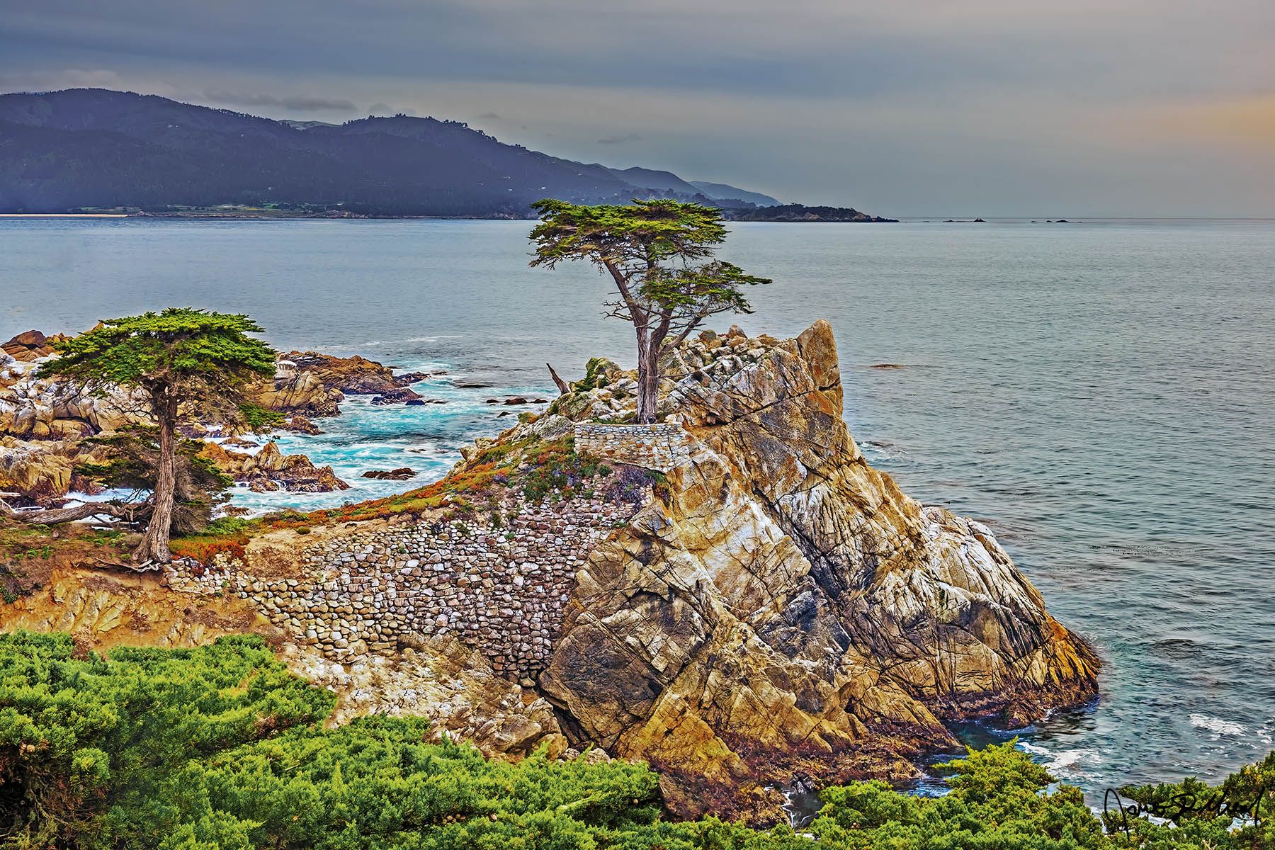 1800x1200 Two's Company Lone Cypress And Its Companion At Sunset Standing Above The Pacific Ocean. Midway Point, 17 Mile Drive, Pebble Beach, Monterey Peninsula, California. James Mead Photography Fine Art