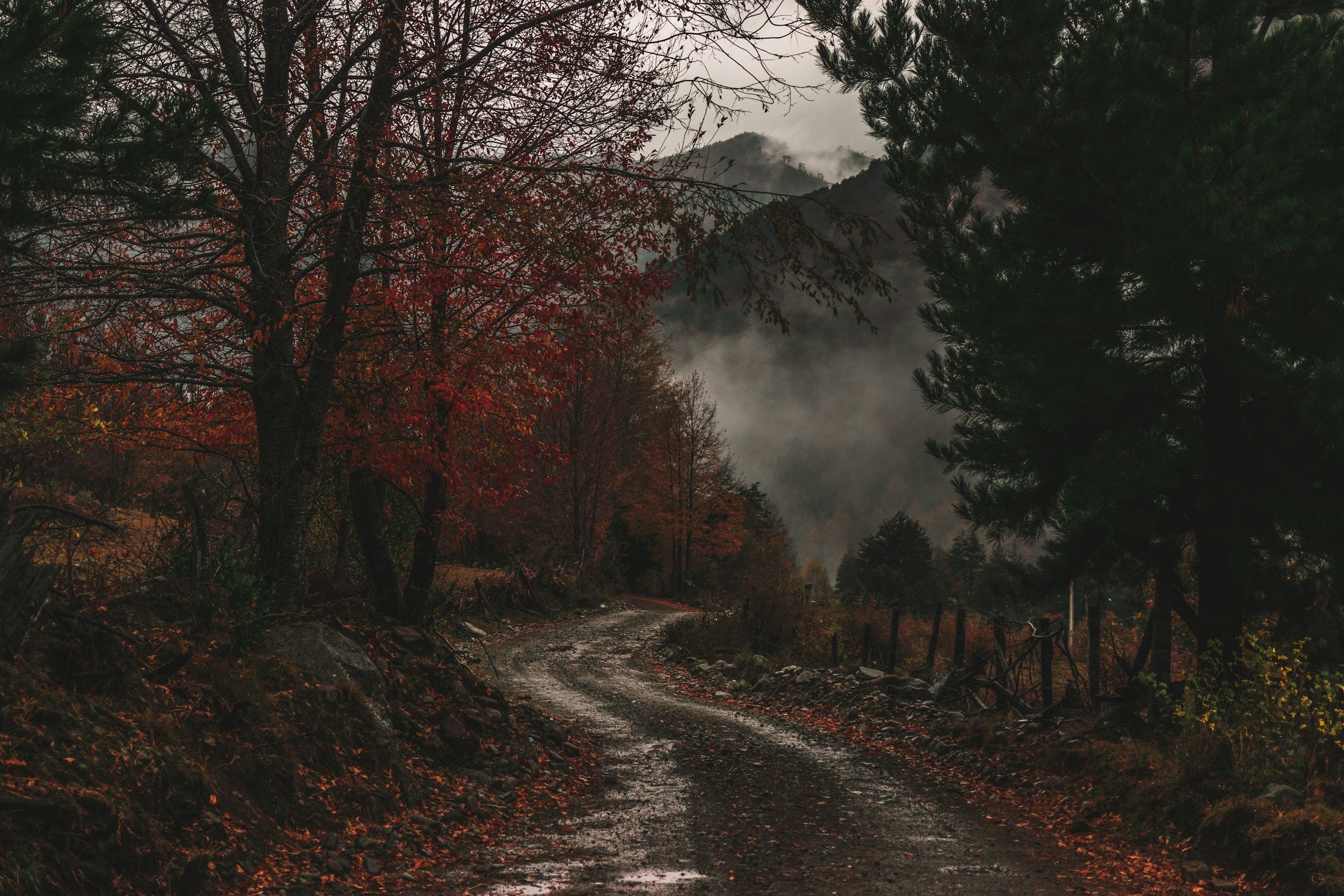 3000x2000 Moody Landscape Picture. Download Free Image