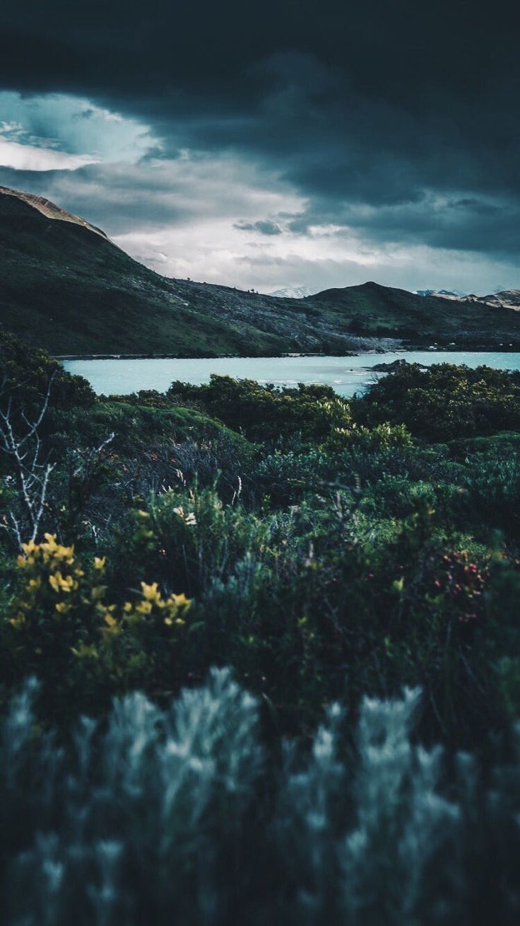 736x1309 cloudy landscape