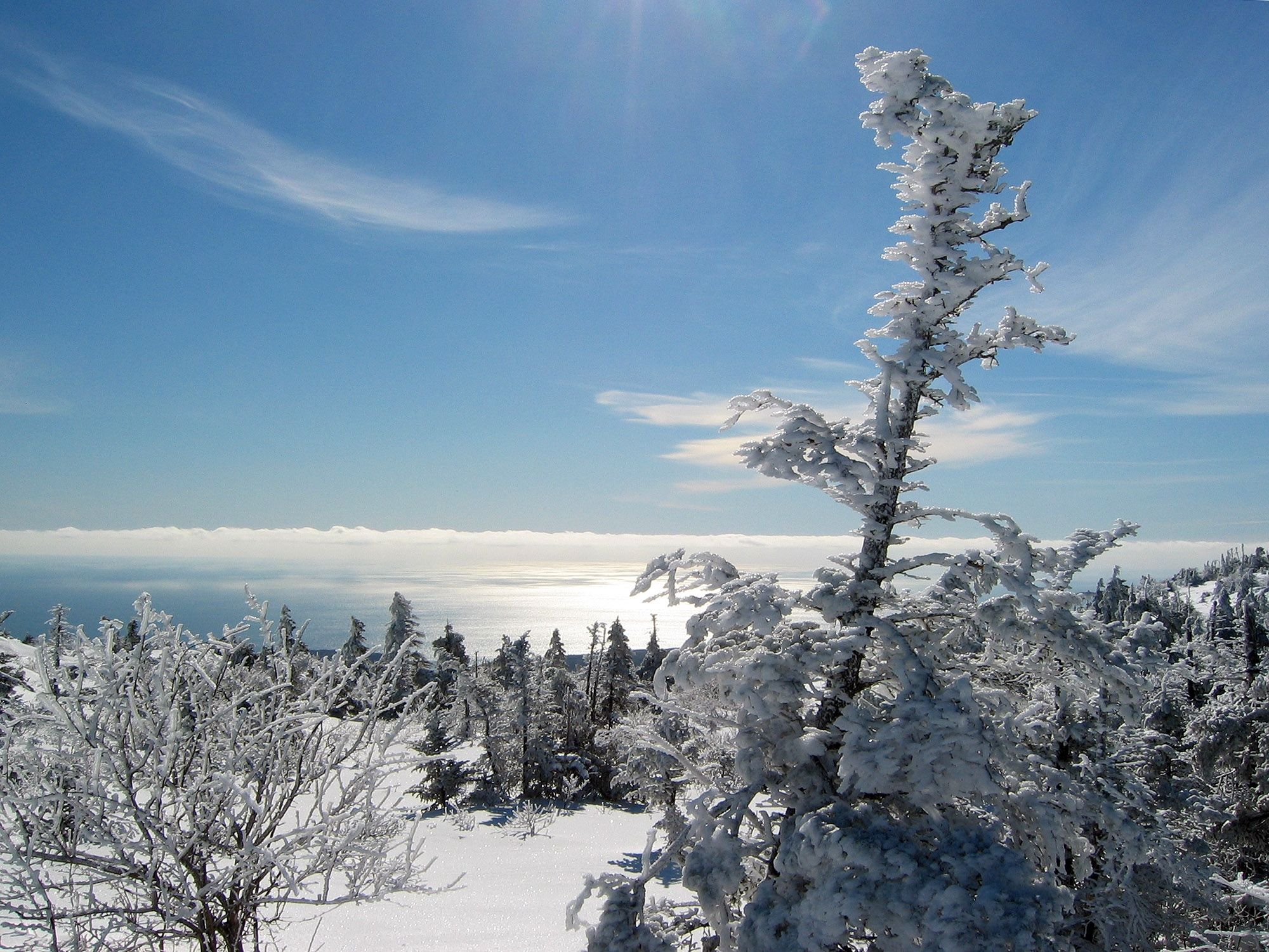 2000x1500 Photo (U.S. National Park Service)