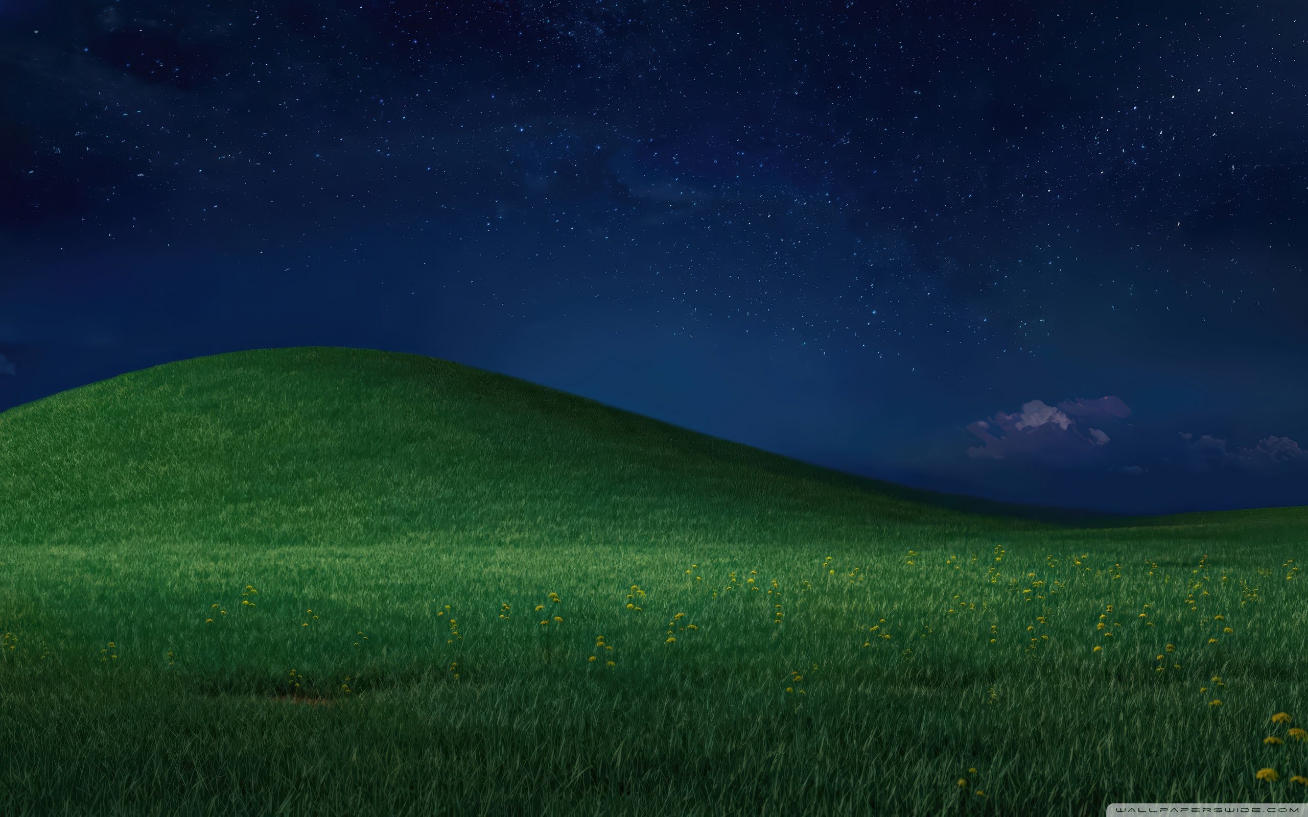 2560x1600 Windows XP Landscape Night 4K UHD Wallpaper for UltraHD Desktop and TV : Widescreen and UltraWide Display : Dual Monitor : Smartphone and Tablet Devices