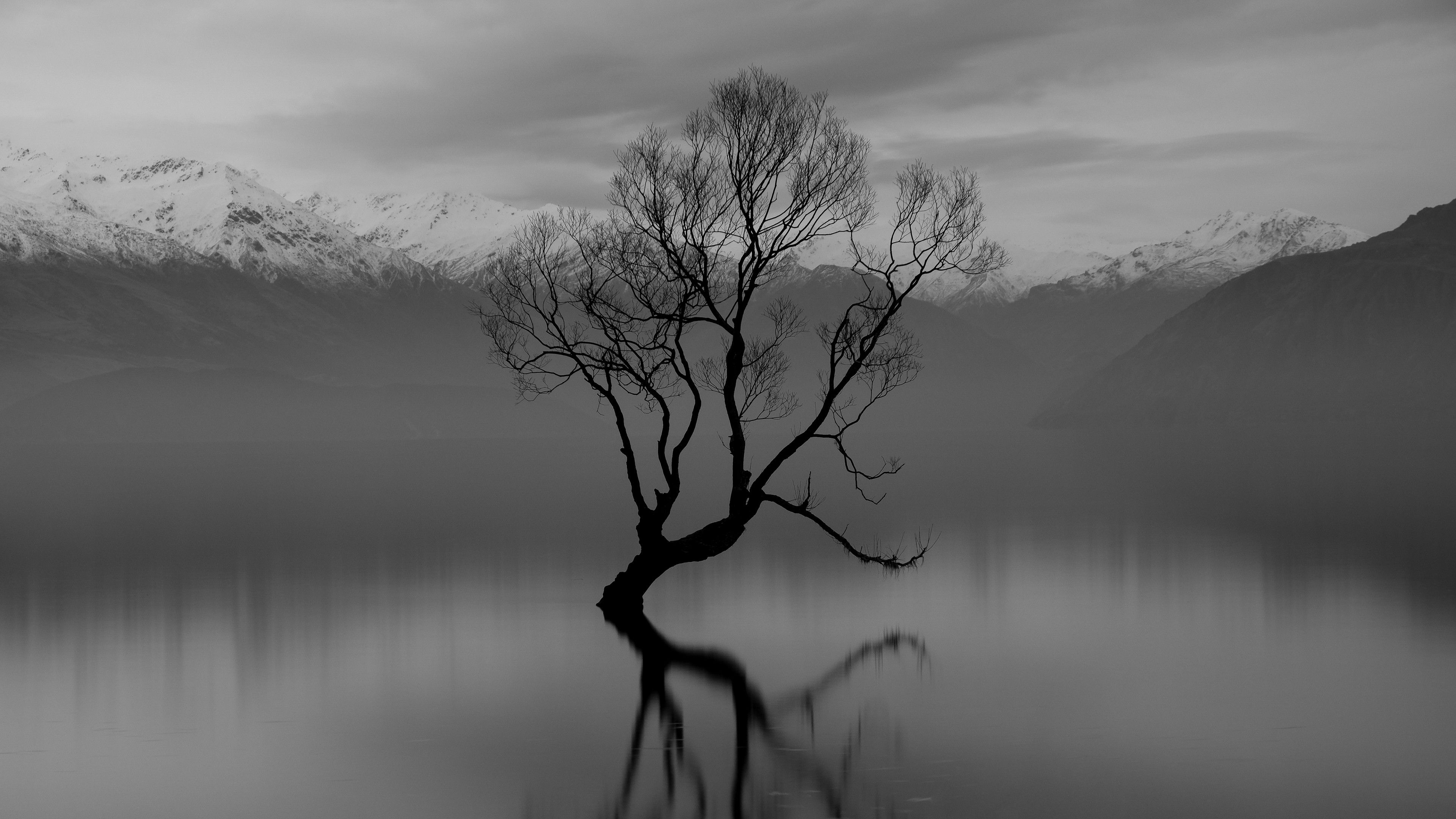 3840x2160 Black And White Image Of Tree On River In Snow Covered Mountain Background 4K 5K HD Nature Wallpaper