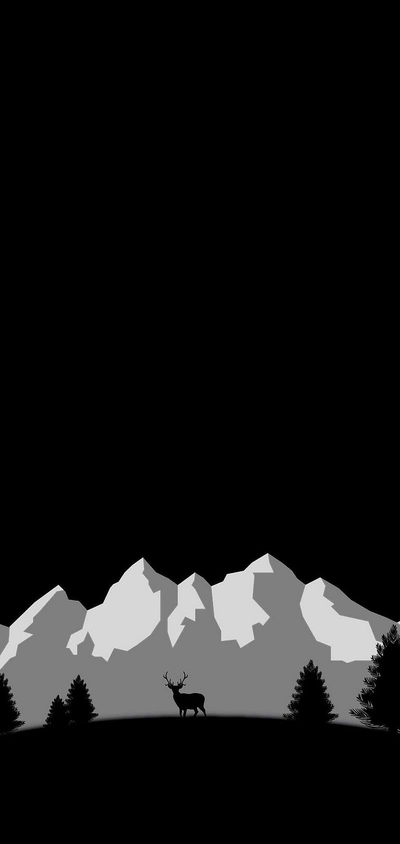 800x1689 Black White, minimalism, HD phone wallpaper