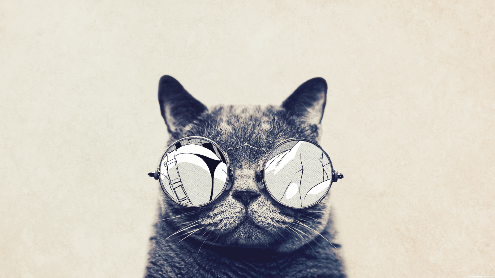 1600x900 Hipster Cat Wallpaper Full HD • dodskypict