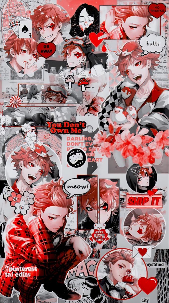 672x1200 ❝ ace trappola
