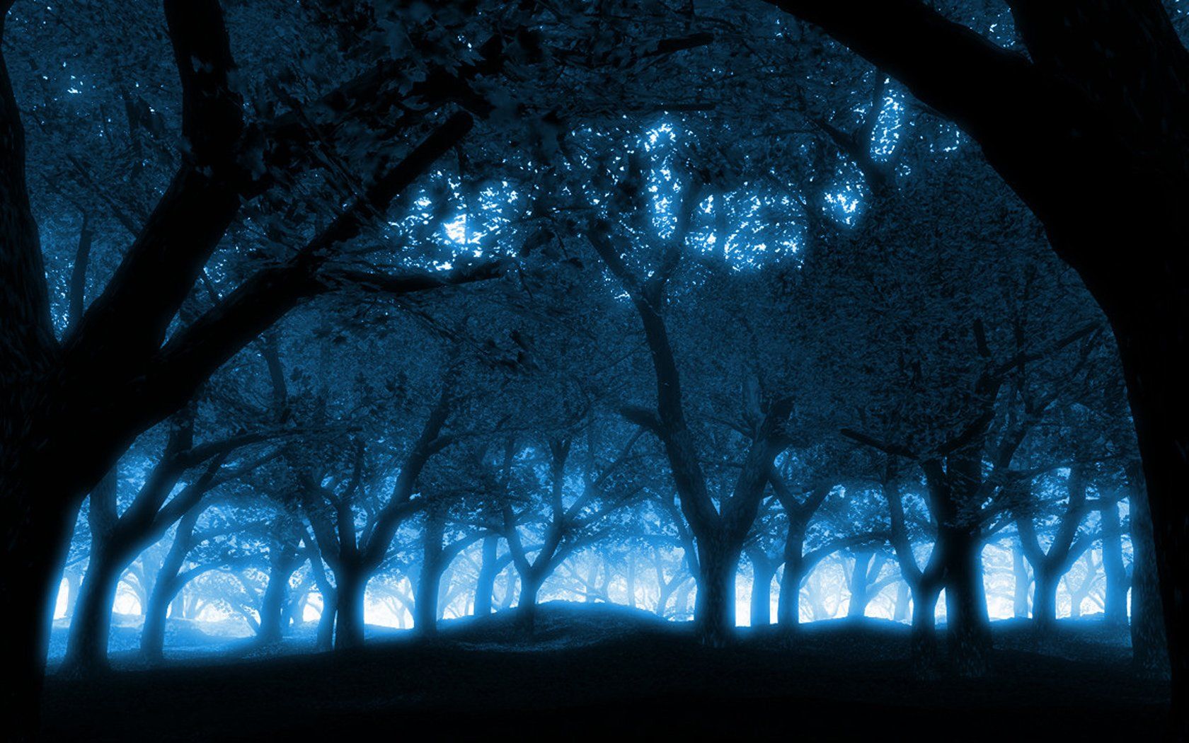 1680x1050 Download Nature Forest Wallpaperx1050
