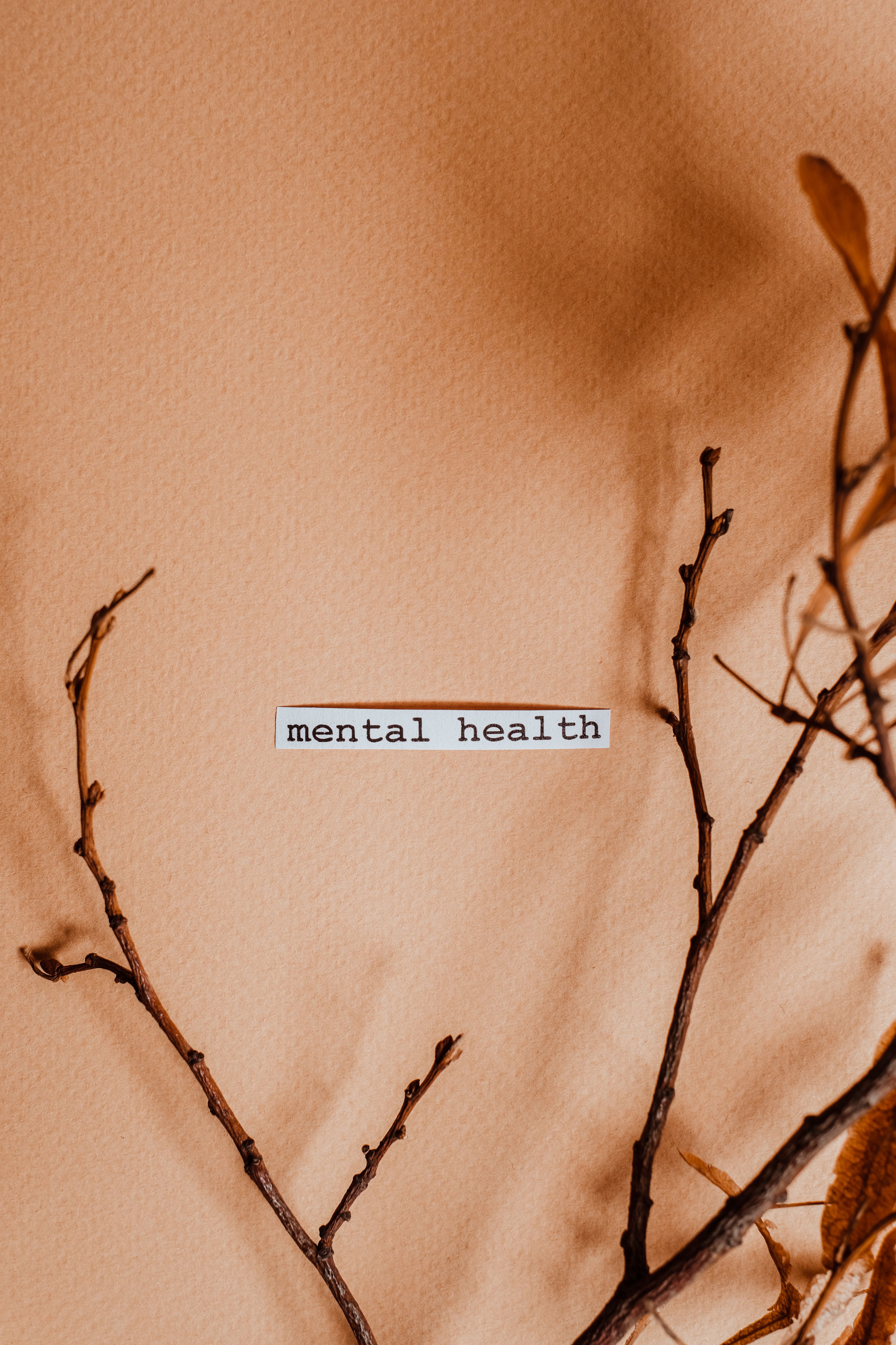 3742x5613 Dry Branches On Brown Paper With Text · Free