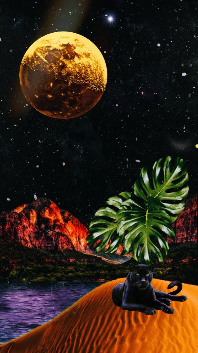 676x1200 Victoria Monét. Diseños para celulares, Piola, Animales domésticos divertidos