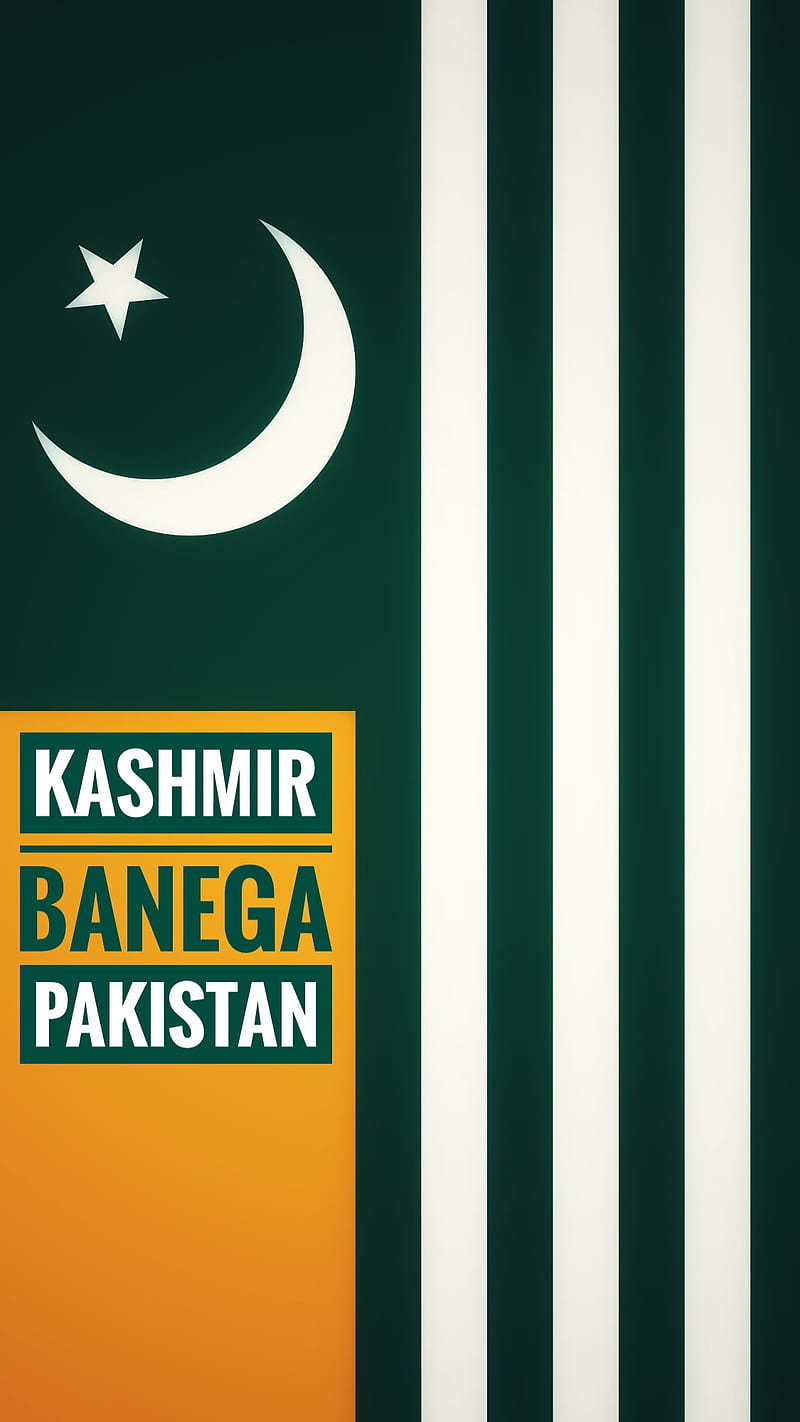 800x1422 Kashmiri Flag, black day, kashmir, pakistan, HD phone wallpaper