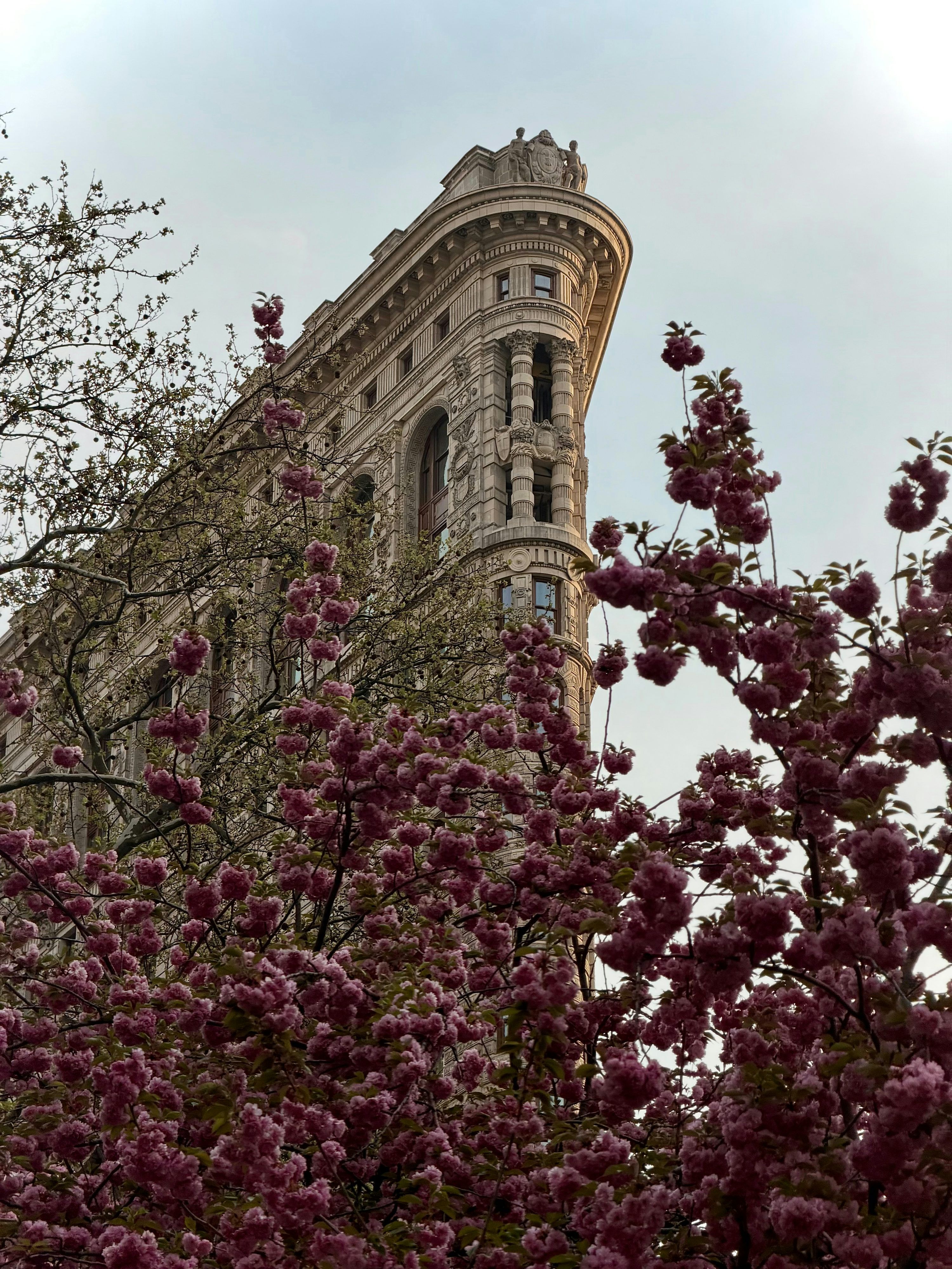 3000x4000 New York Spring Picture. Download Free Image