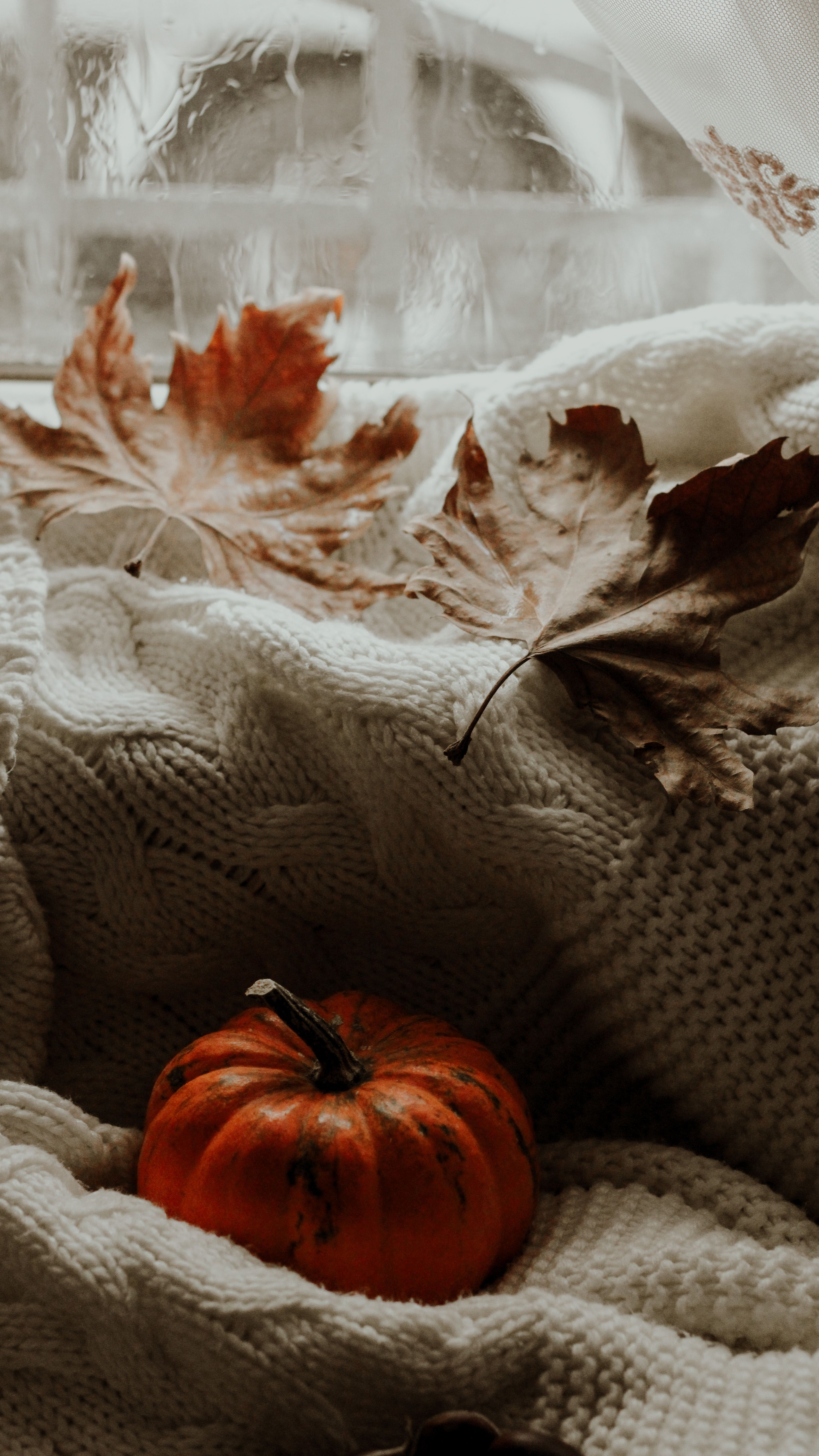 3375x6000 Cozy Vibes Photo, Download The BEST Free Cozy Vibes & HD Image