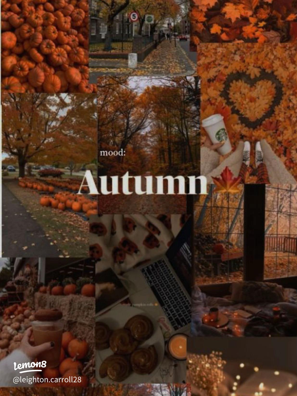1235x1648 Cozy Autumn Aesthetic: Create Your Perfect Fall Wallpaper Collage