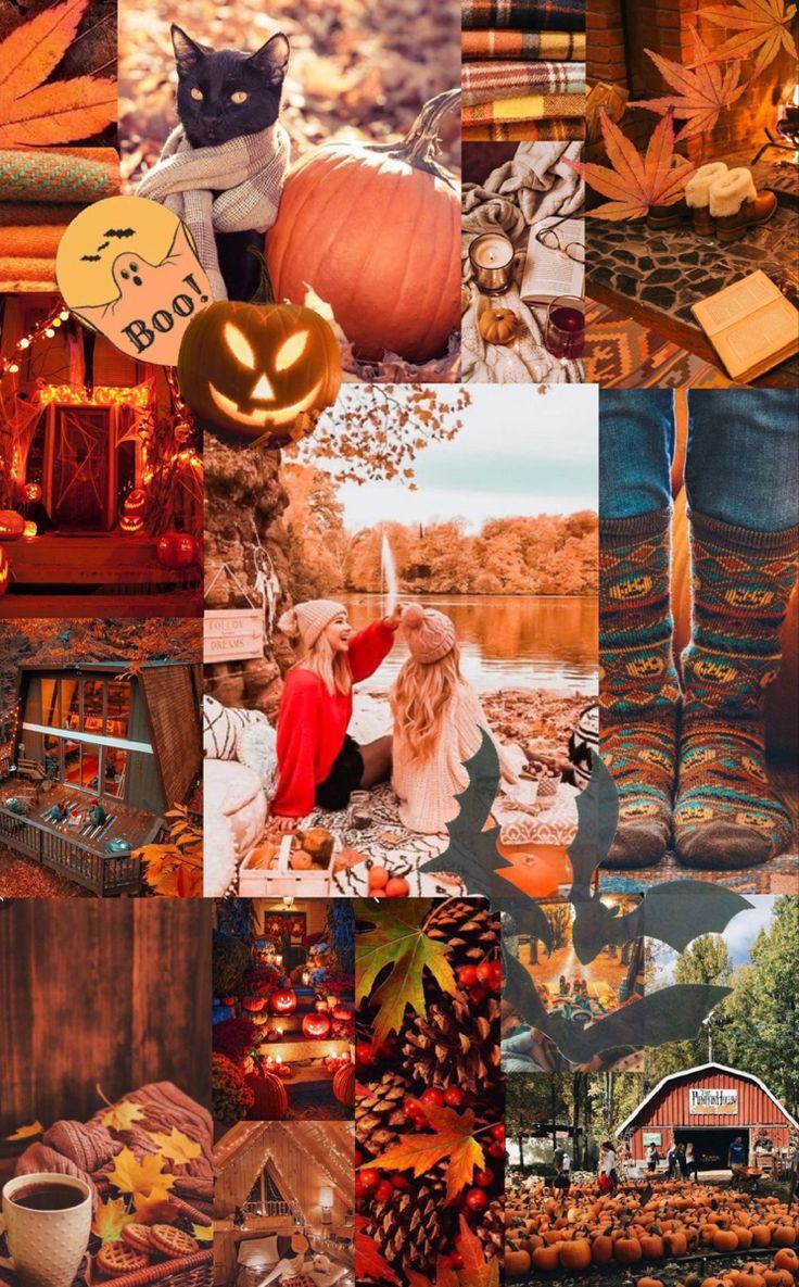 736x1185 Cozy Vibe Autumn Wallpaper
