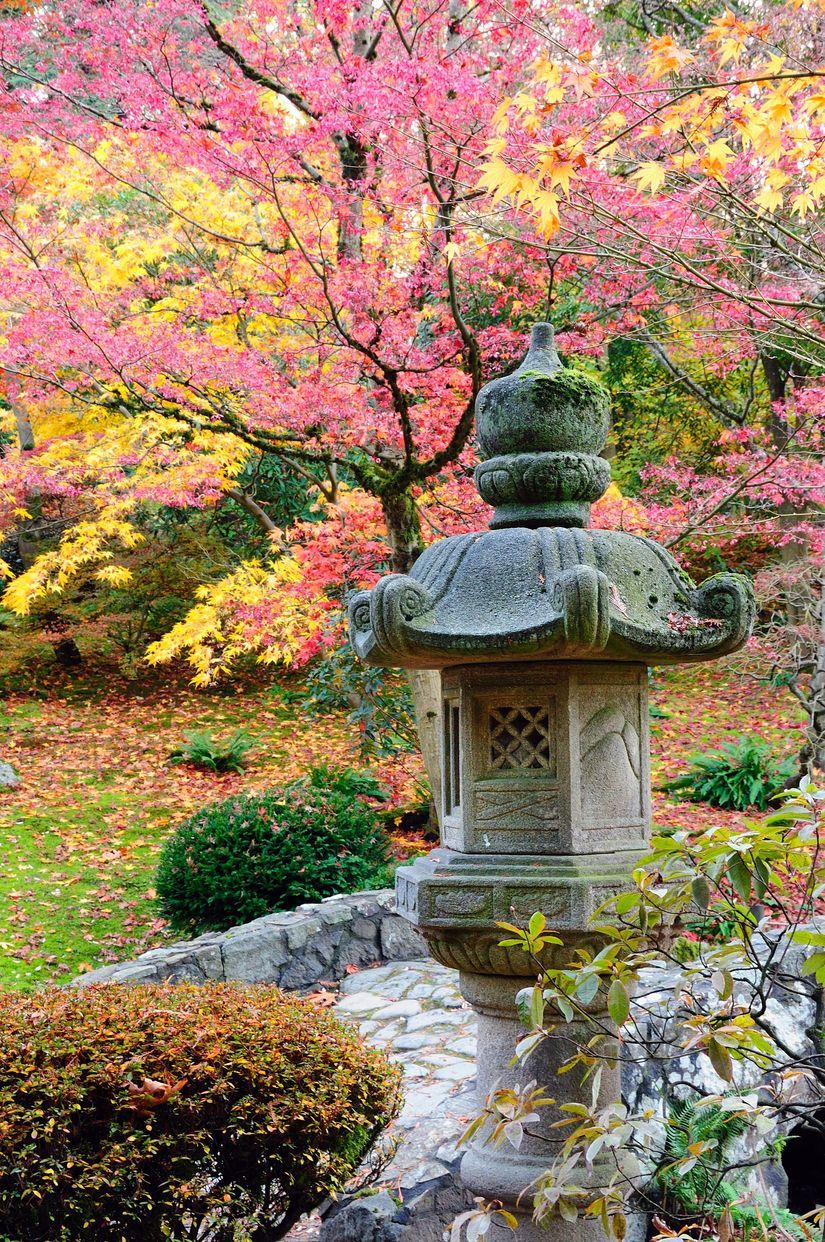 825x1242 Autumn Japanese Garden Wall Mural