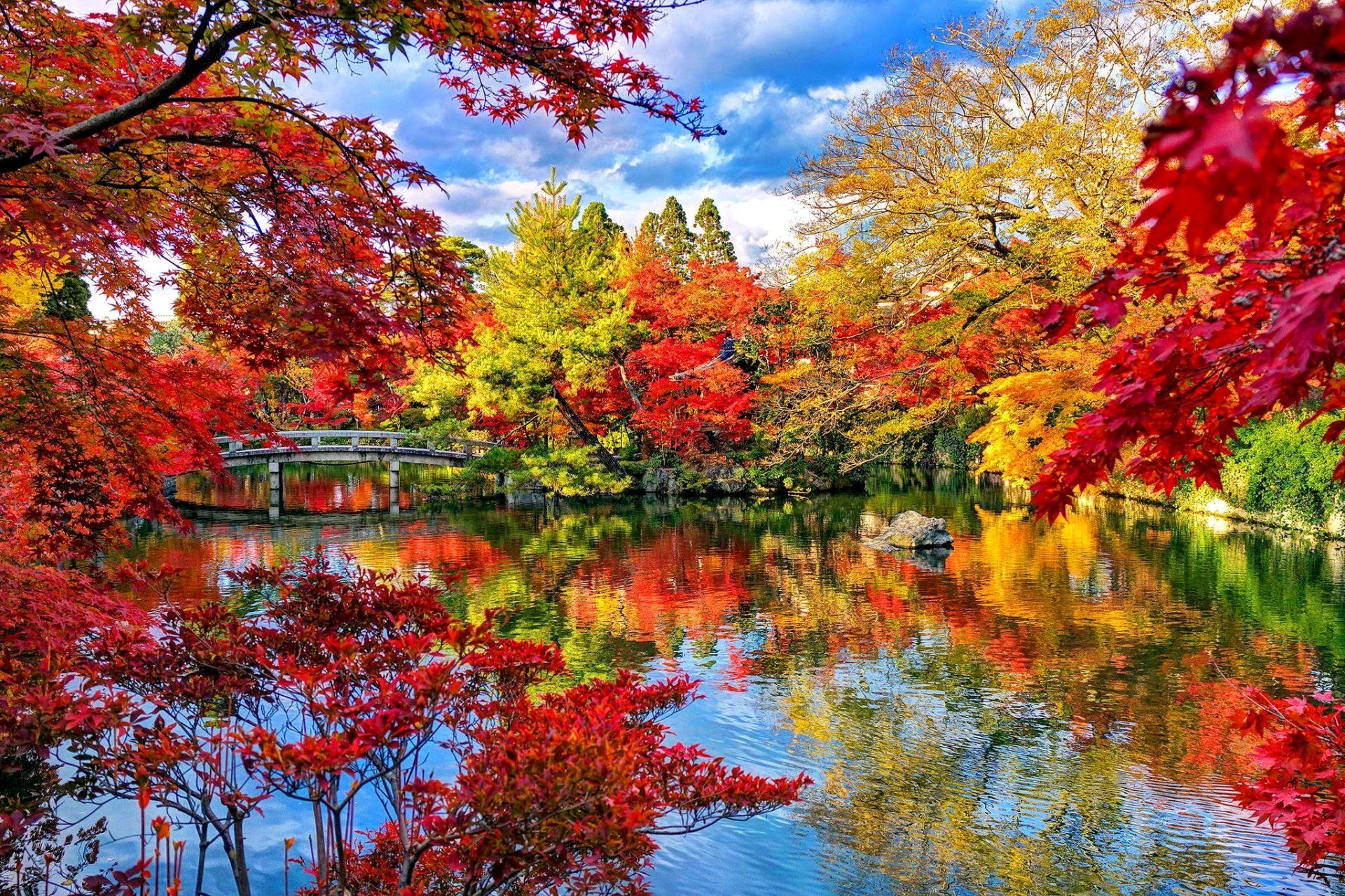 1920x1280 Serene Autumn Reflections: A Japanese Garden HD Wallpaperx1365